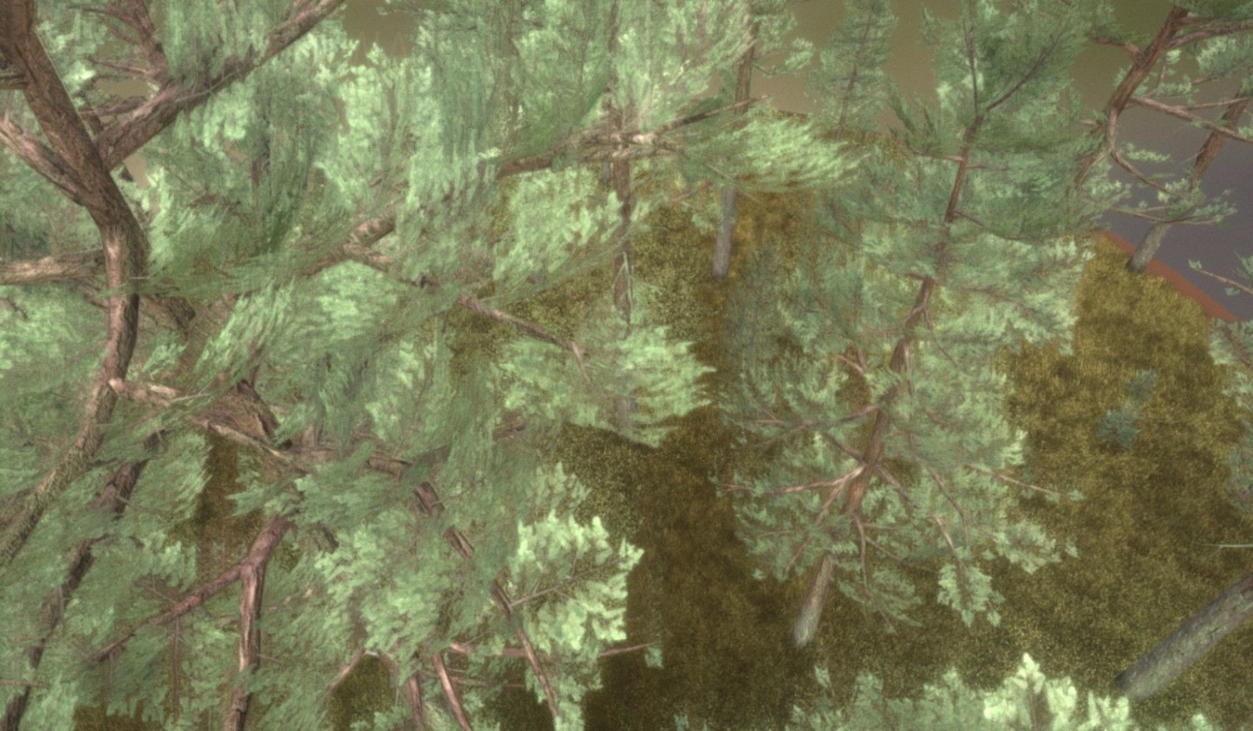 Pine Forest Scene Low-poly 3D model_58