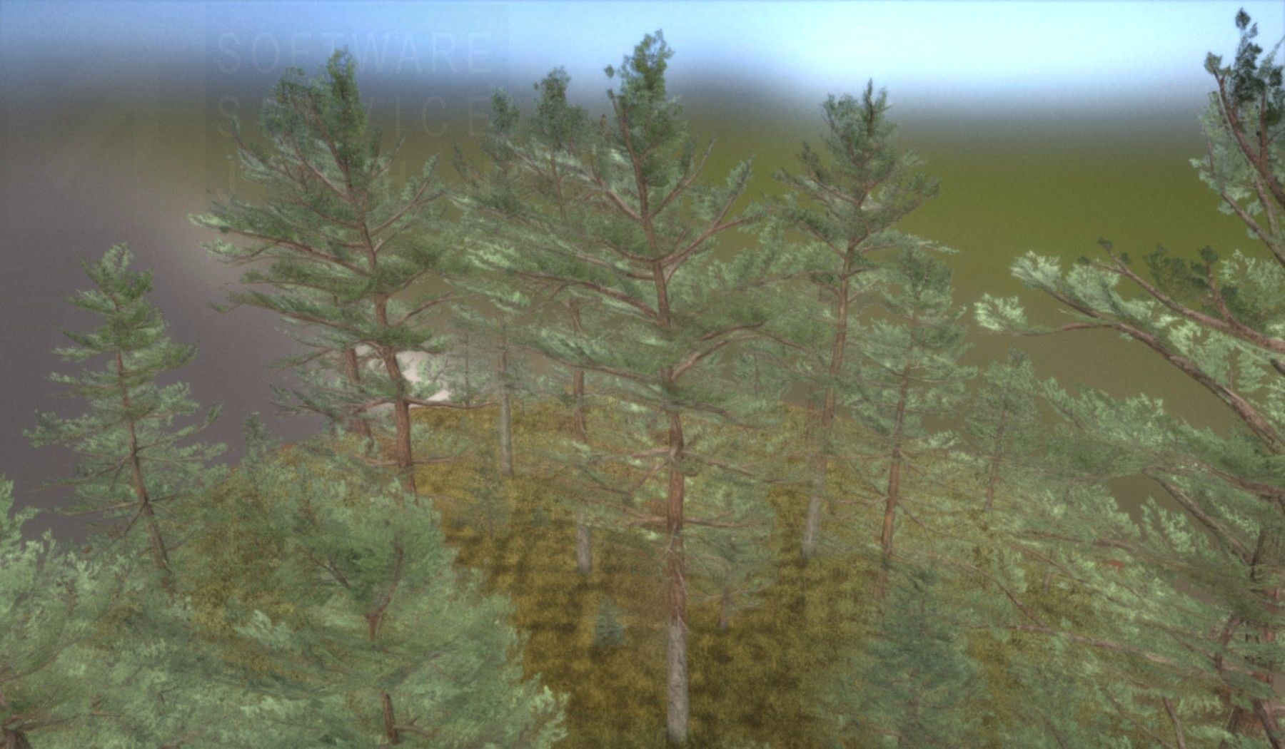 Pine Forest Scene Low-poly 3D model_33