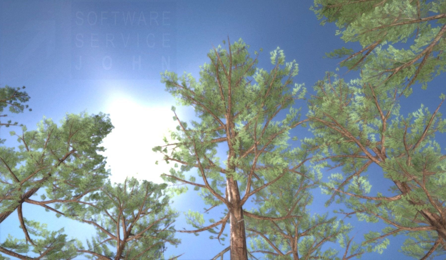 Pine Forest Scene Low-poly 3D model_72