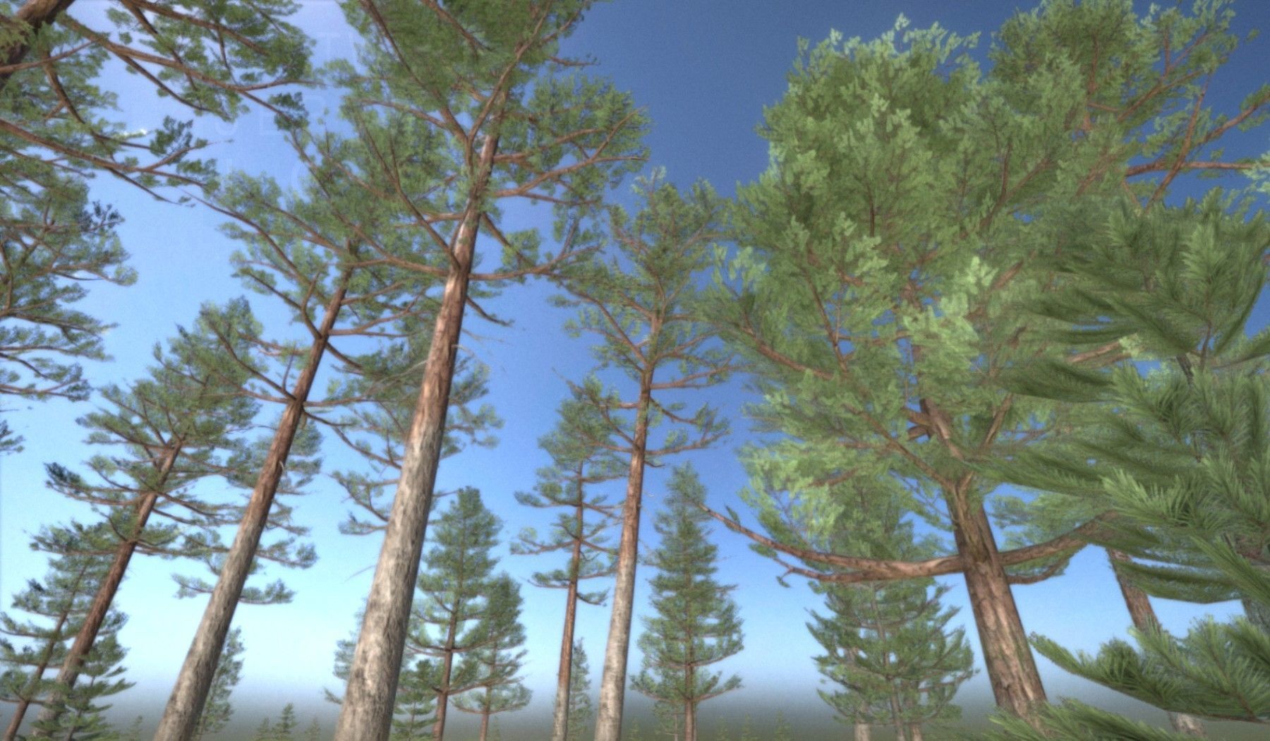 Pine Forest Scene Low-poly 3D model_9