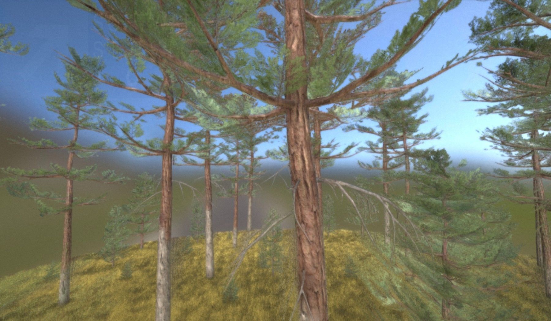 Pine Forest Scene Low-poly 3D model_89