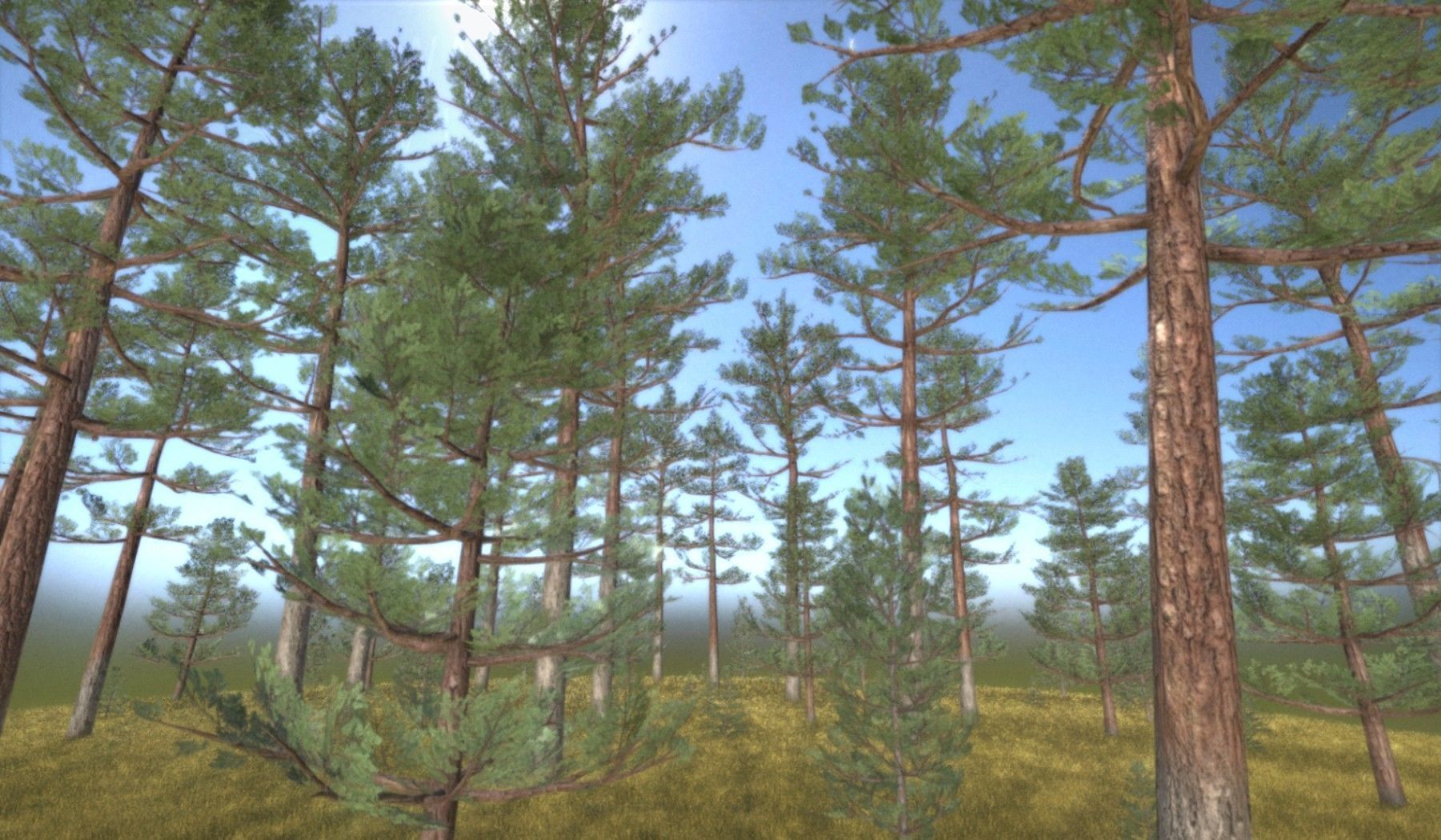 Pine Forest Scene Low-poly 3D model_4