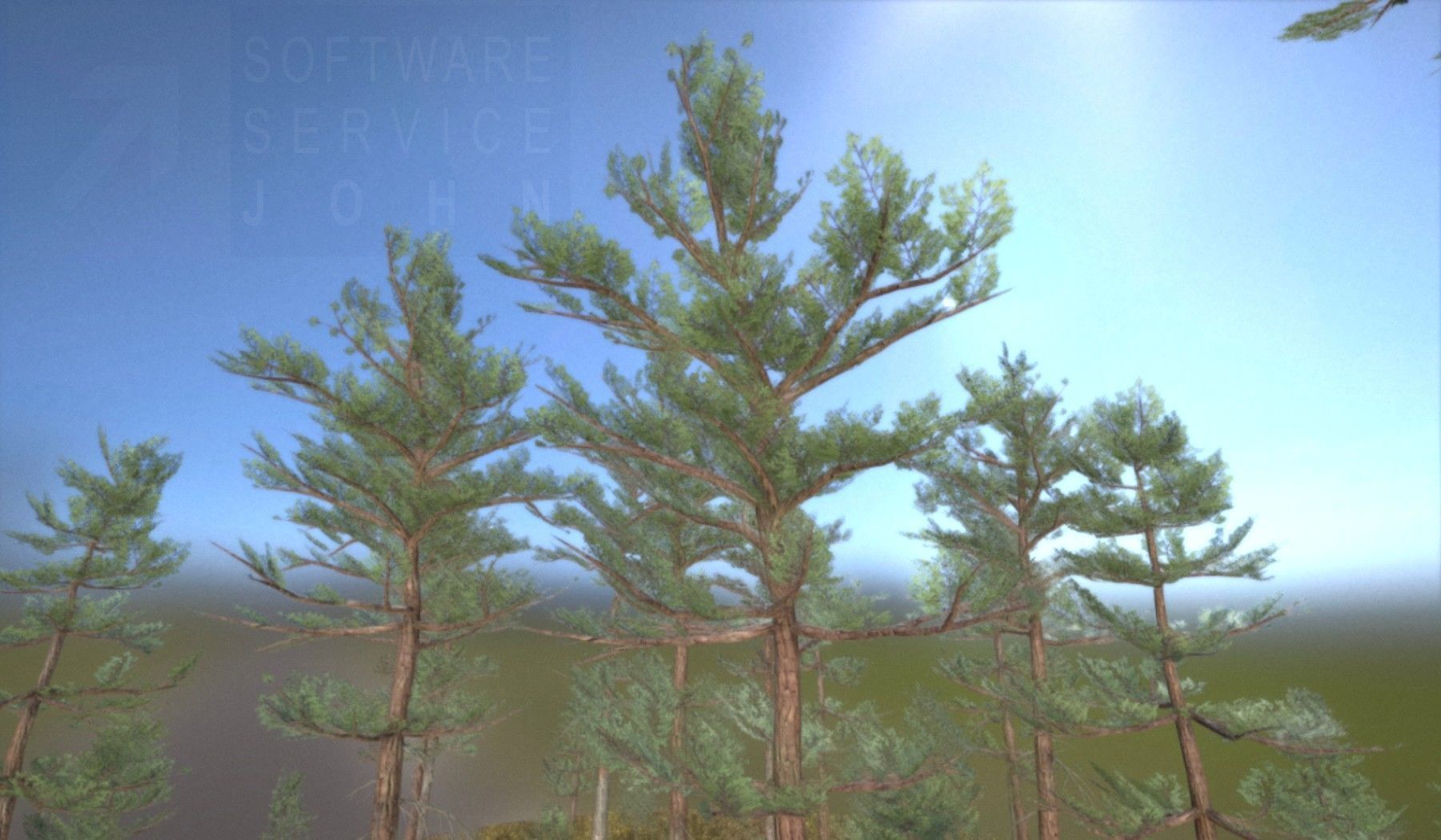 Pine Forest Scene Low-poly 3D model_115