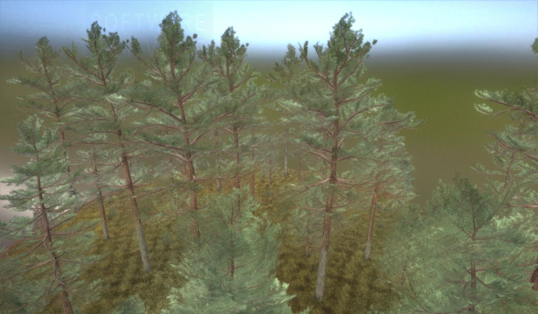 Pine Forest Scene Low-poly 3D model_36