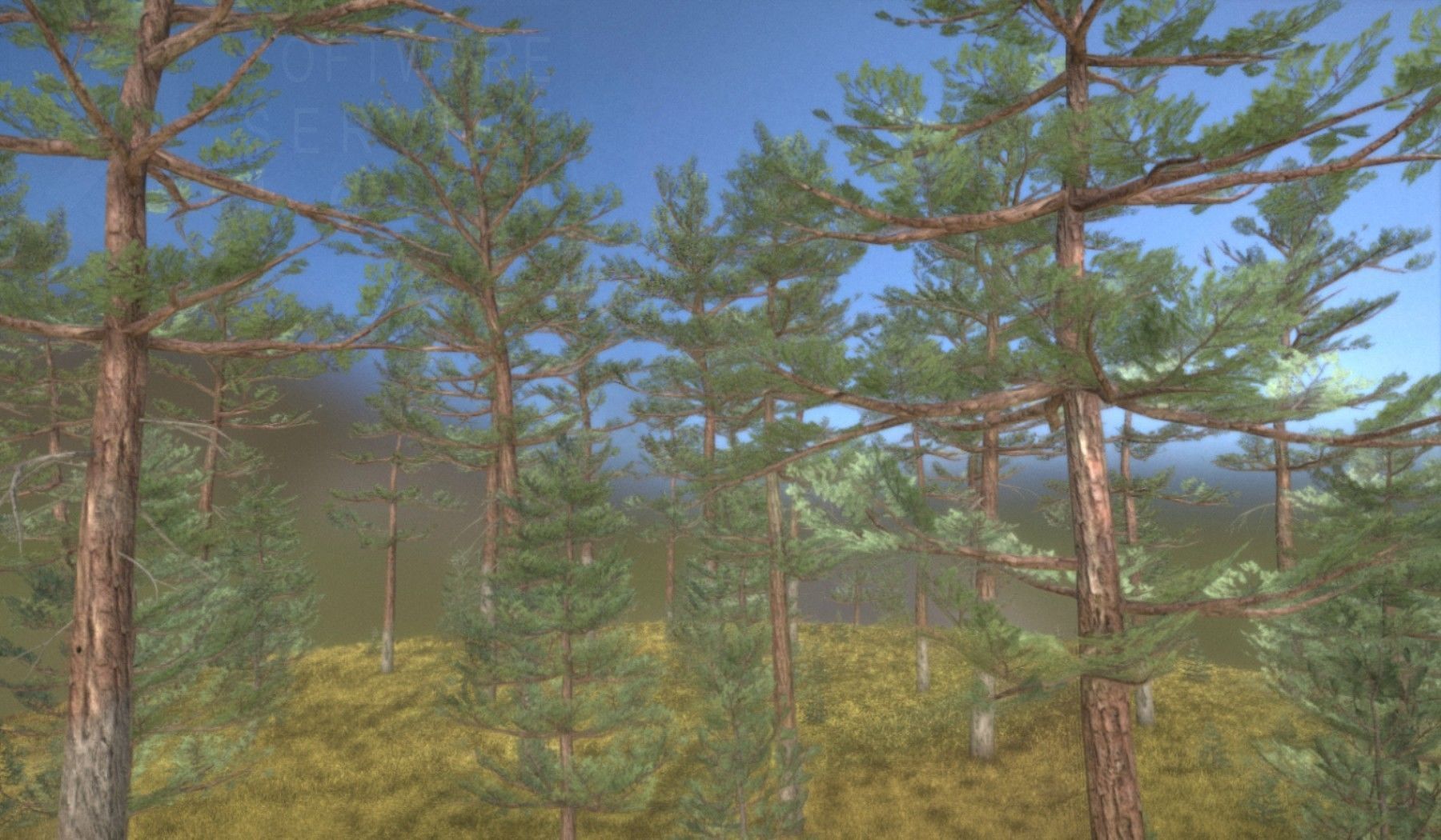 Pine Forest Scene Low-poly 3D model_34