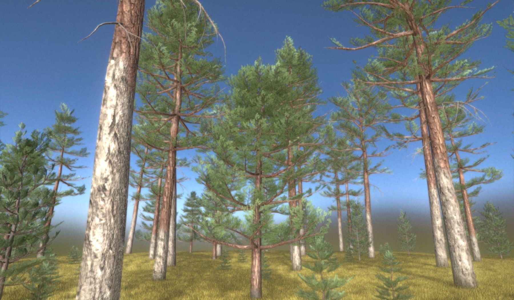 Pine Forest Scene Low-poly 3D model_27