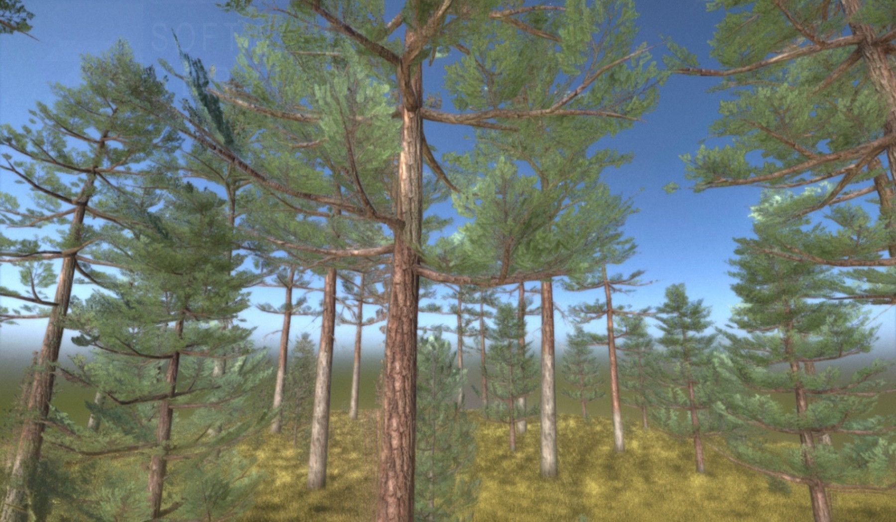 Pine Forest Scene Low-poly 3D model_131