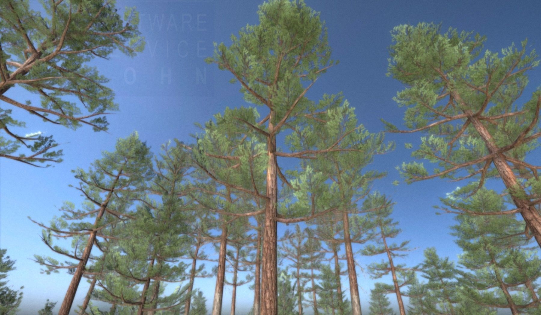 Pine Forest Scene Low-poly 3D model_128