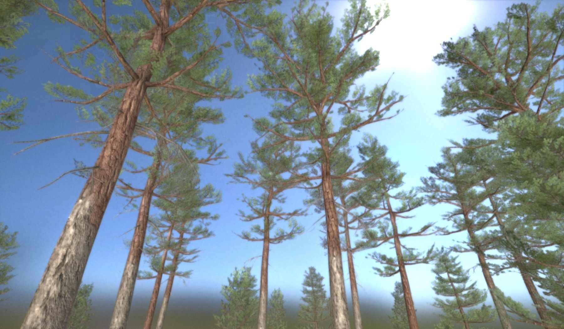 Pine Forest Scene Low-poly 3D model_92