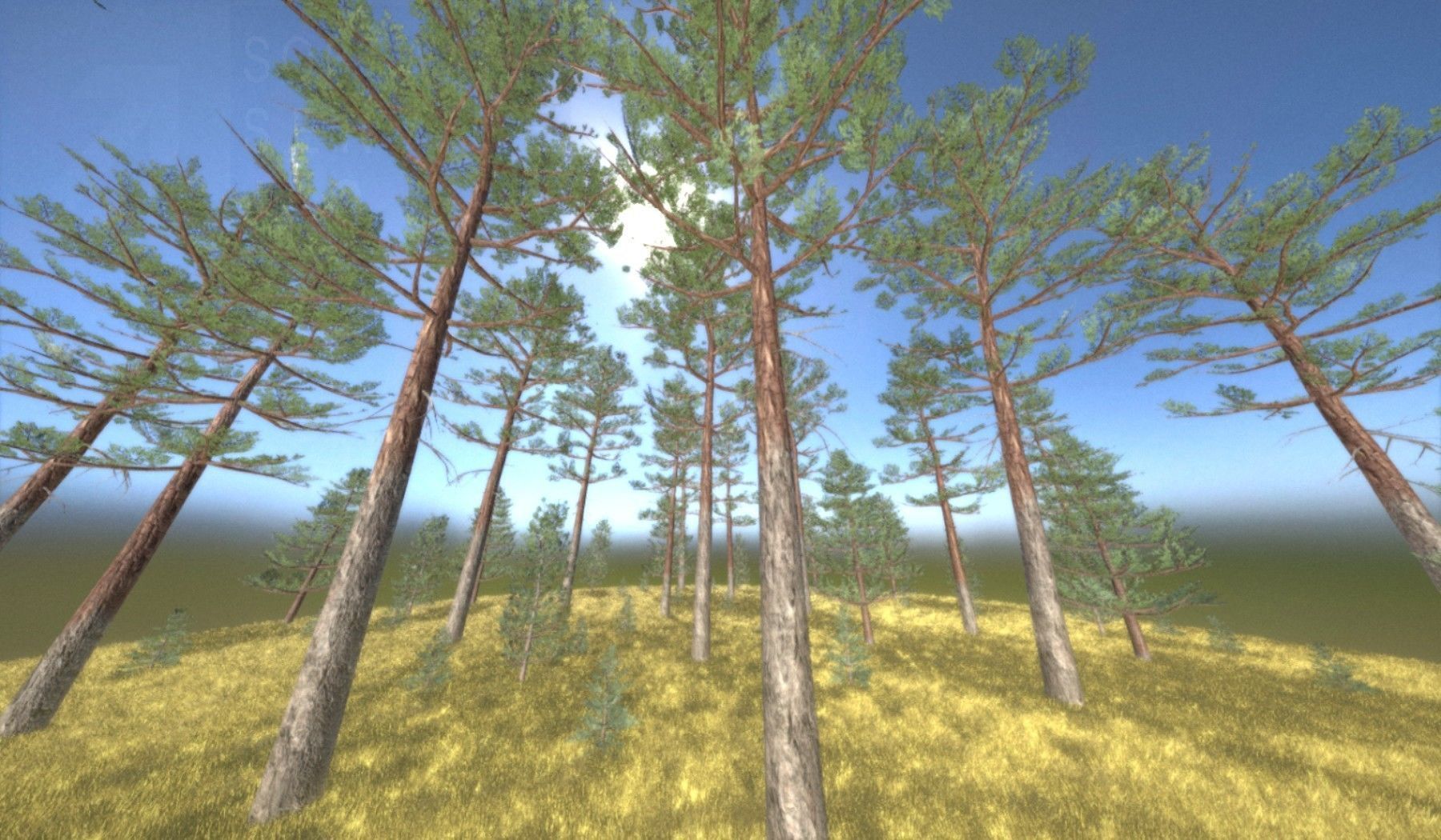 Pine Forest Scene Low-poly 3D model_82