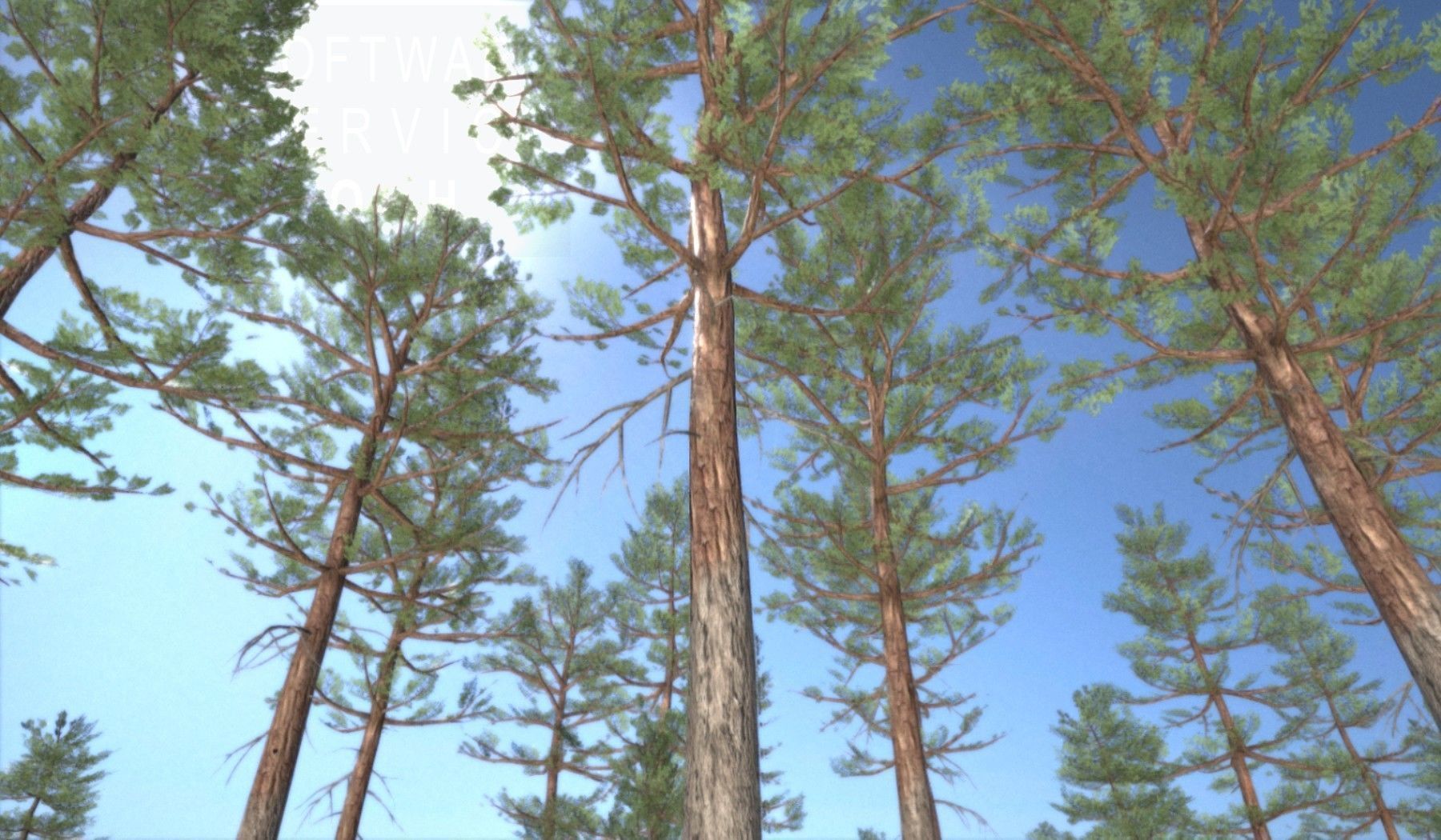Pine Forest Scene Low-poly 3D model_10