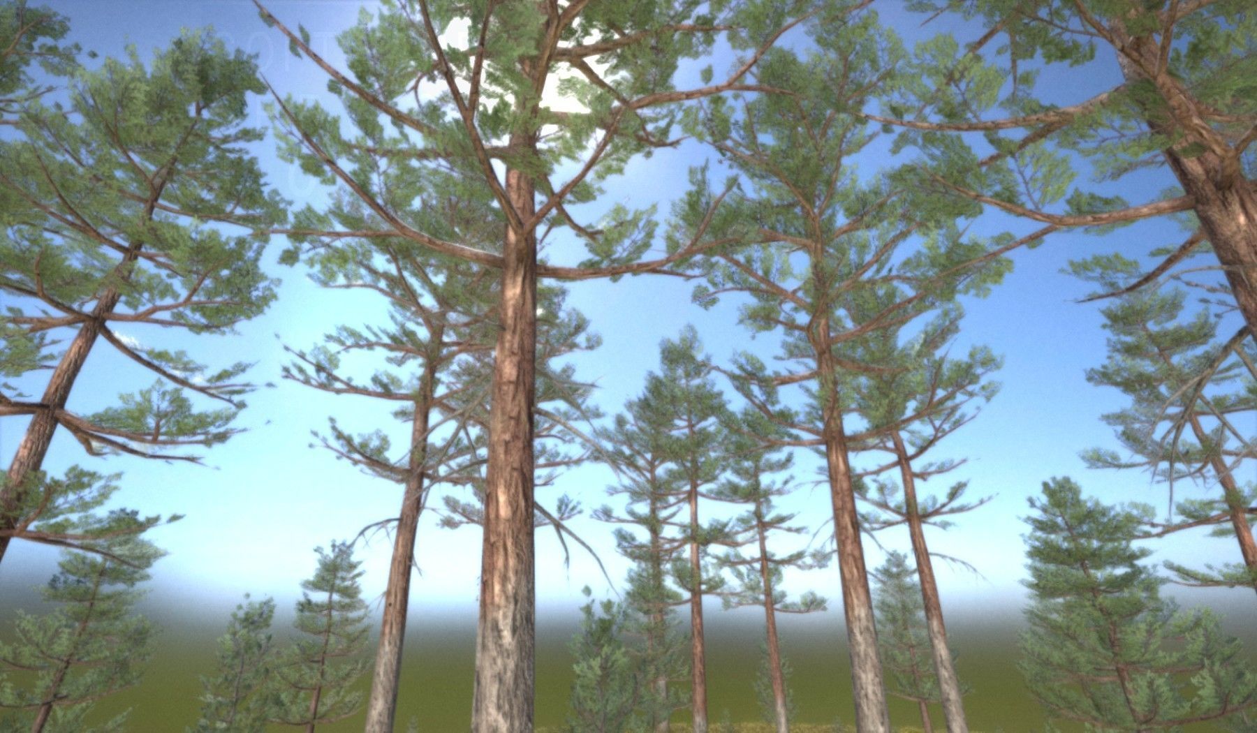 Pine Forest Scene Low-poly 3D model_95