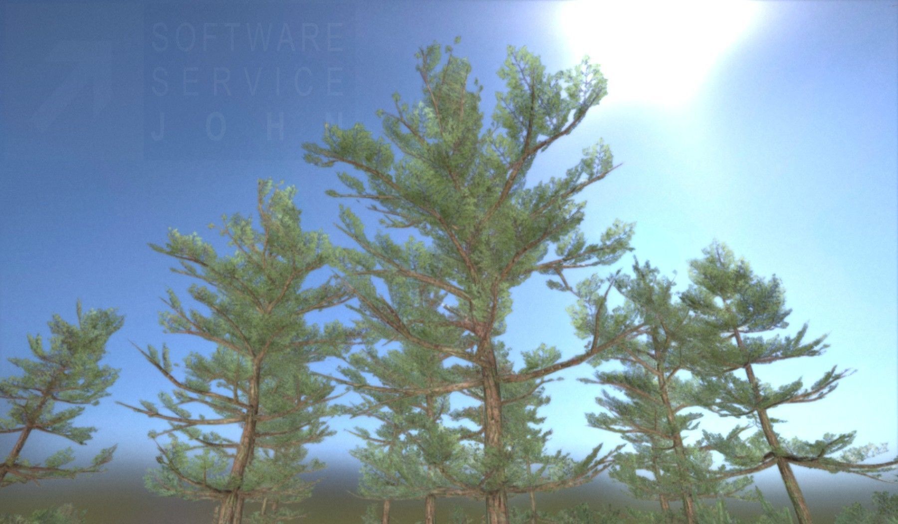 Pine Forest Scene Low-poly 3D model_117