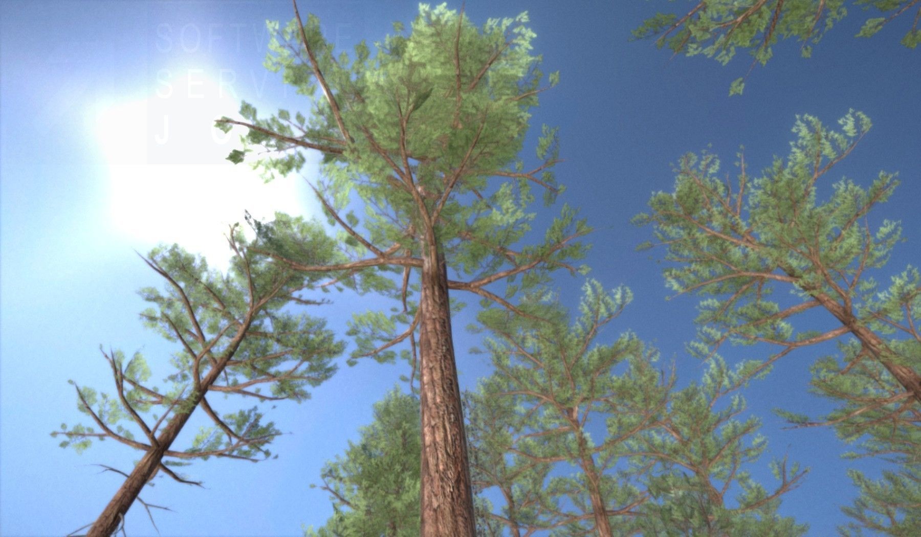 Pine Forest Scene Low-poly 3D model_134