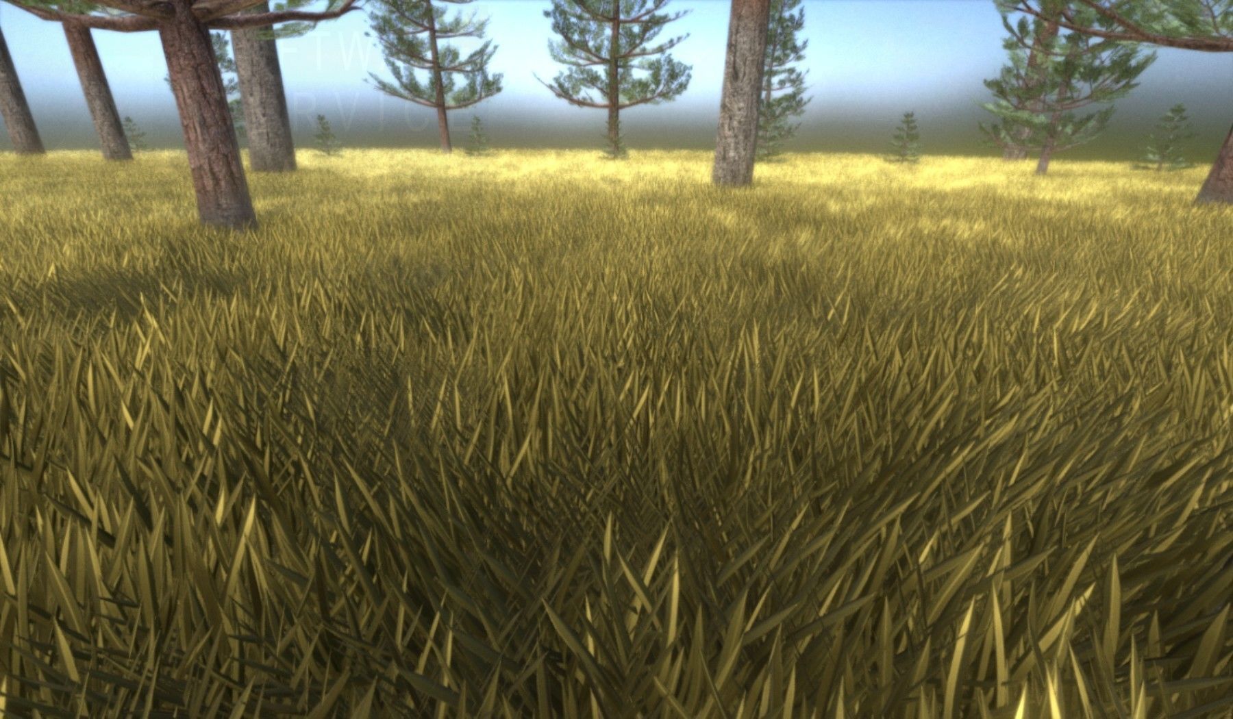 Pine Forest Scene Low-poly 3D model_107