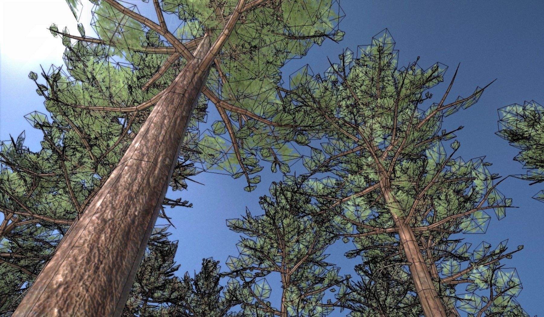 Pine Forest Scene Low-poly 3D model_71