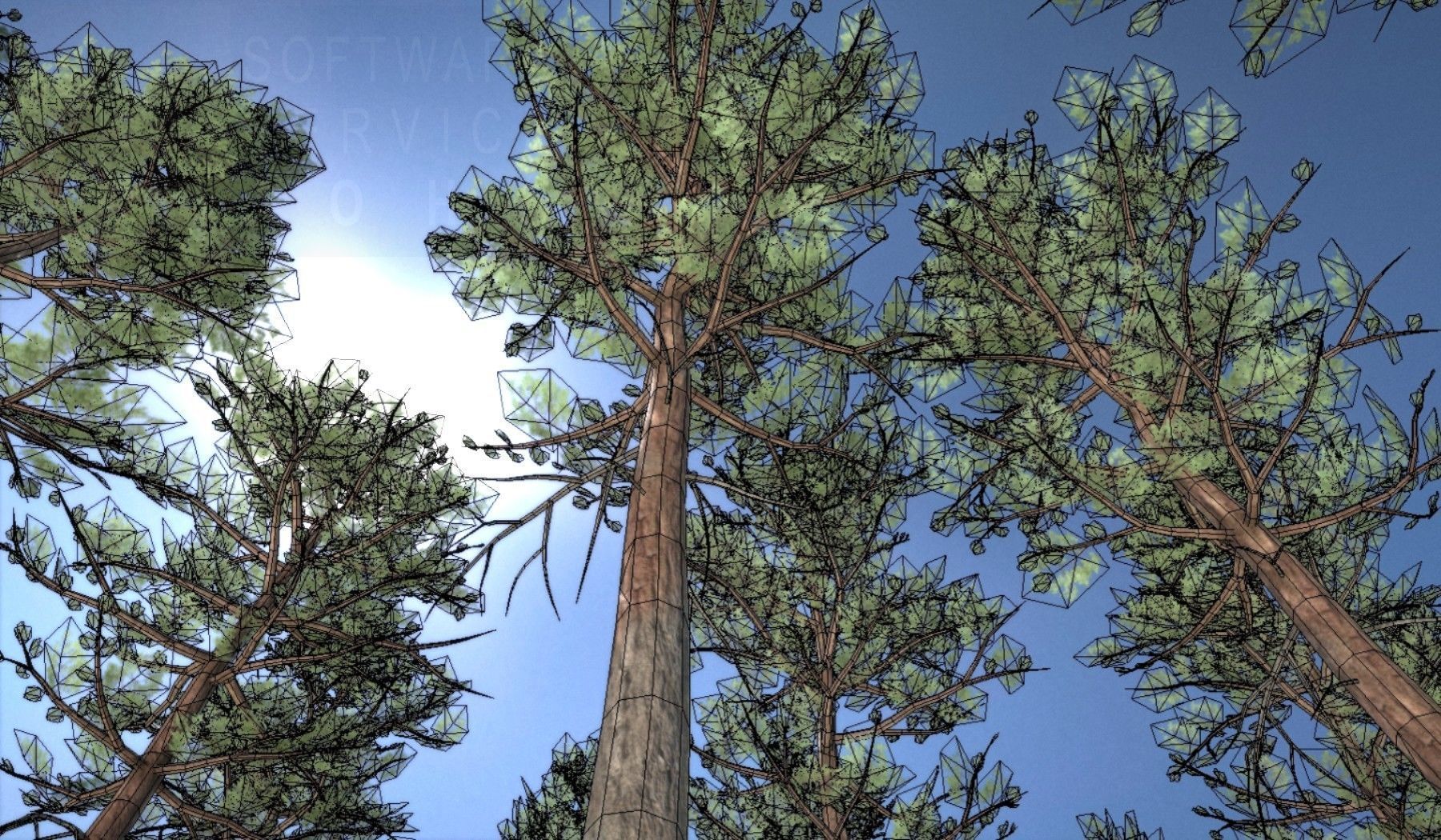 Pine Forest Scene Low-poly 3D model_20