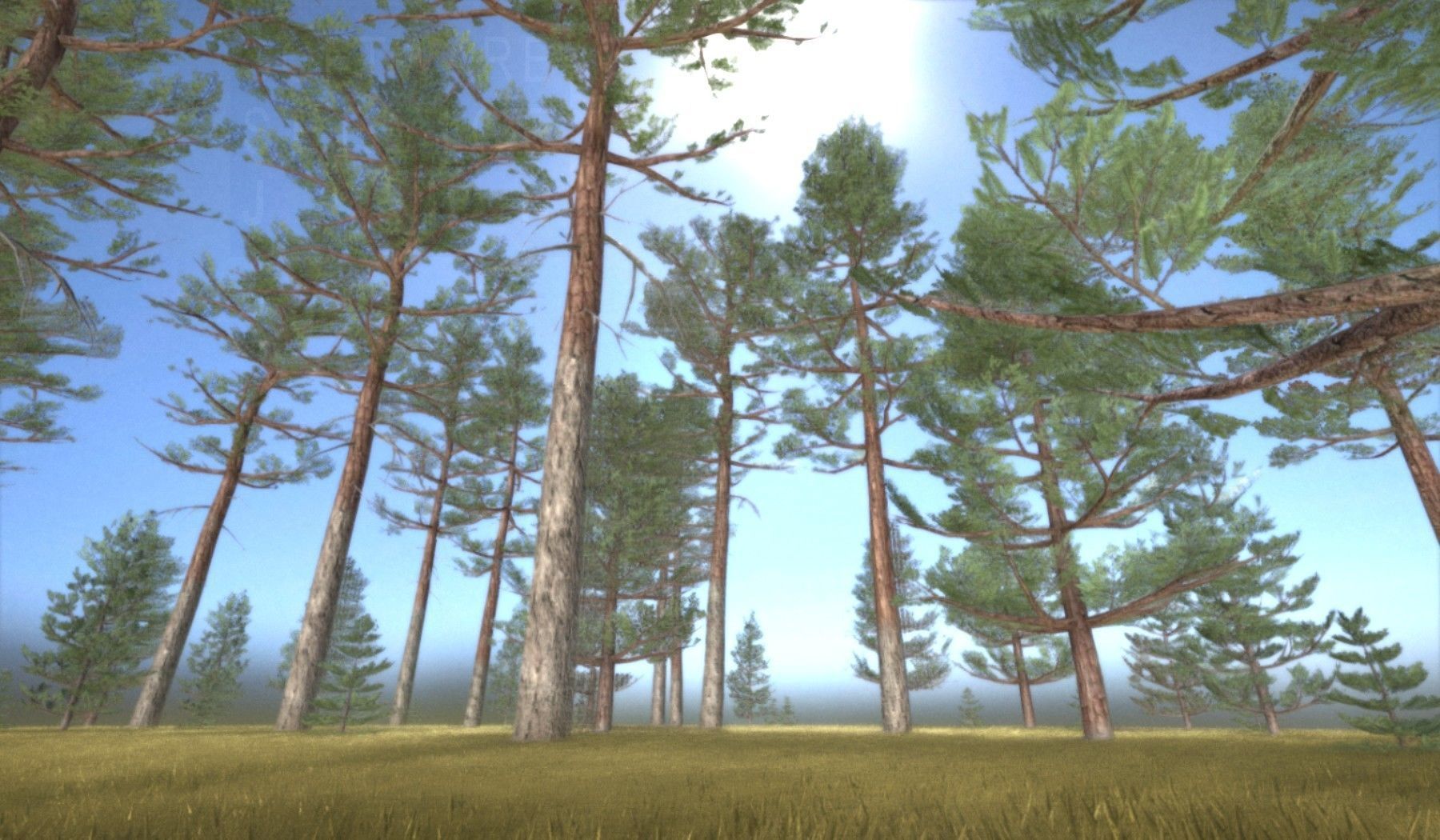 Pine Forest Scene Low-poly 3D model_93