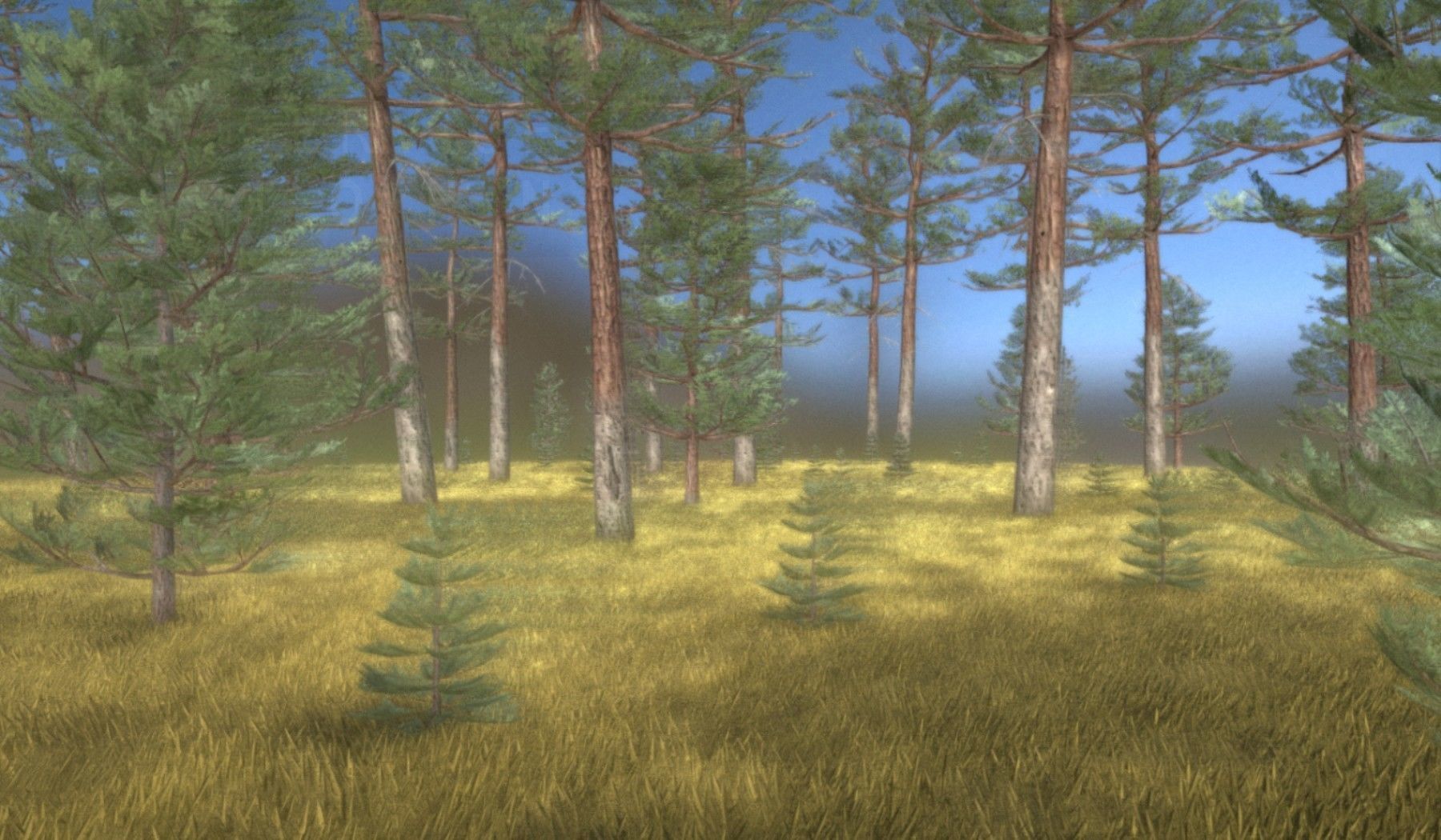 Pine Forest Scene Low-poly 3D model_56