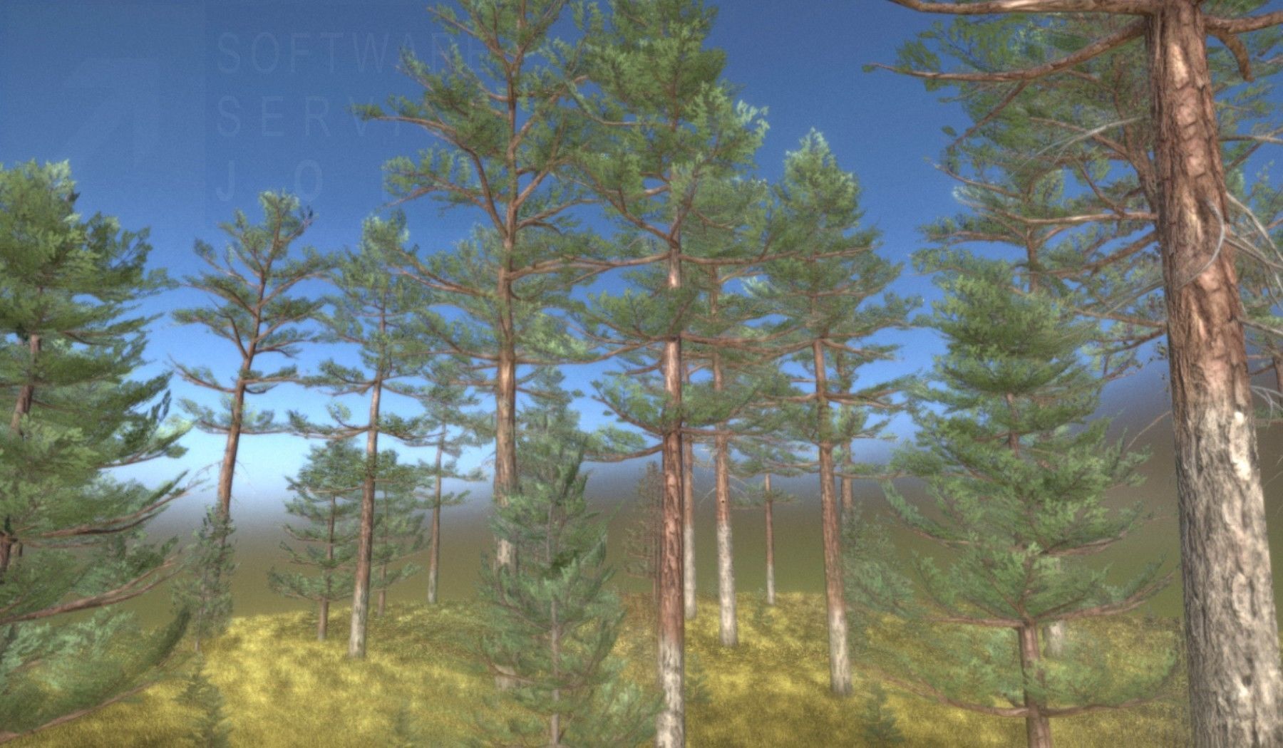 Pine Forest Scene Low-poly 3D model_28