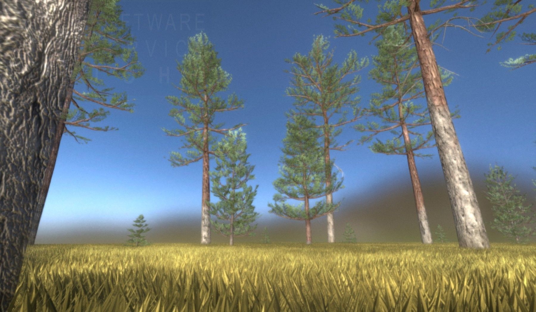 Pine Forest Scene Low-poly 3D model_103