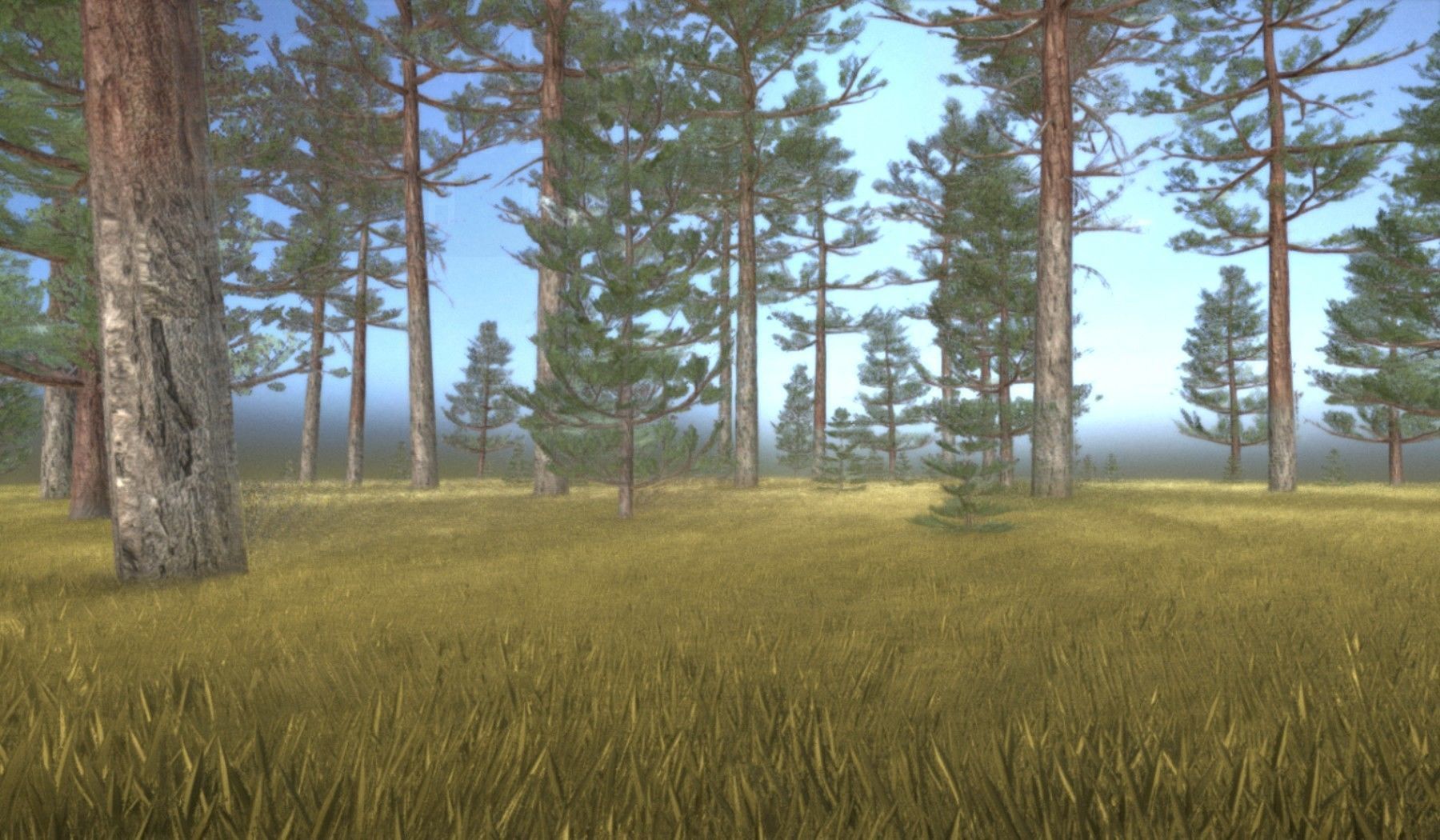Pine Forest Scene Low-poly 3D model_50