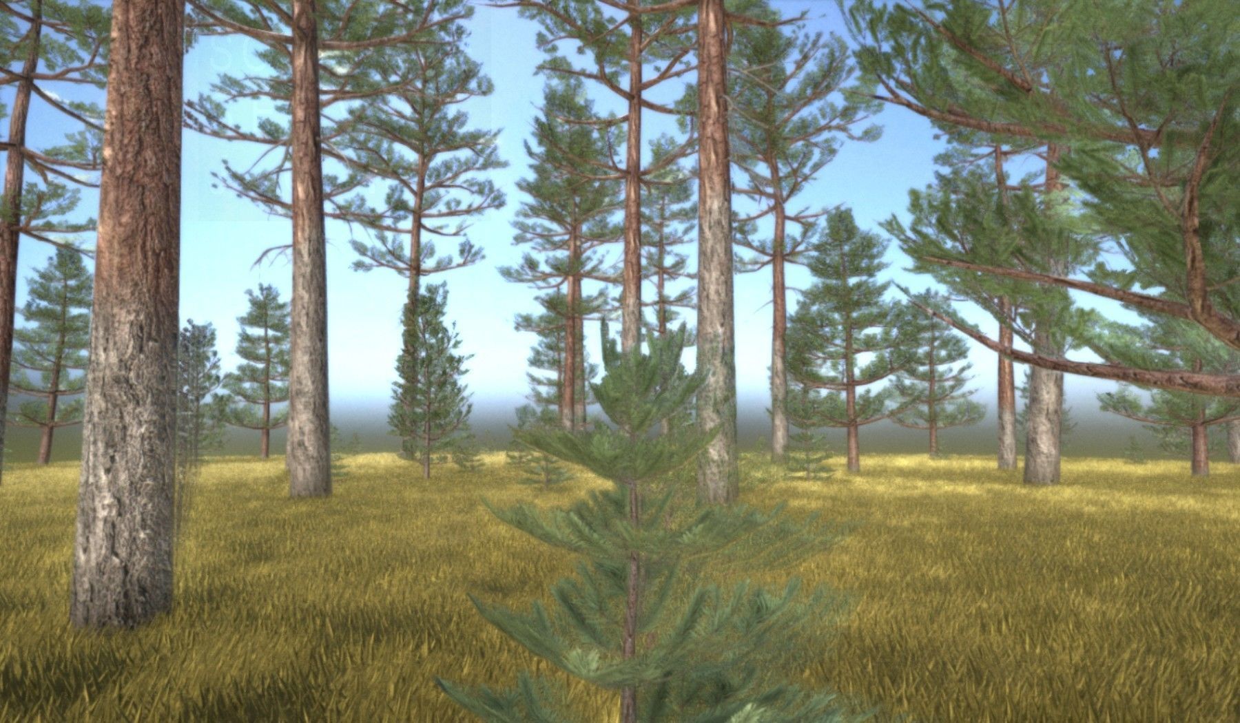 Pine Forest Scene Low-poly 3D model_47