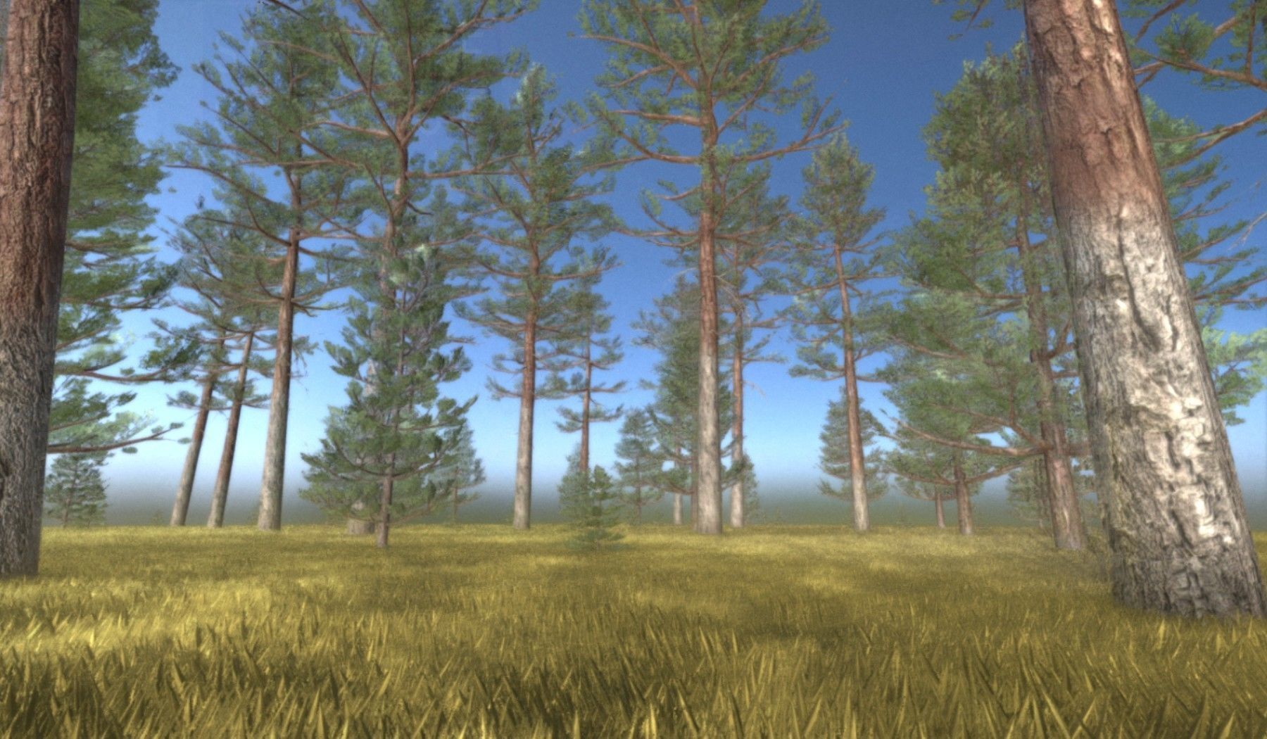 Pine Forest Scene Low-poly 3D model_129