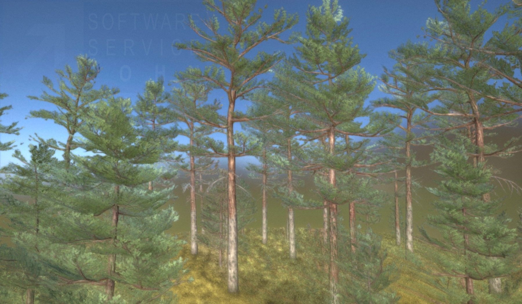 Pine Forest Scene Low-poly 3D model_35