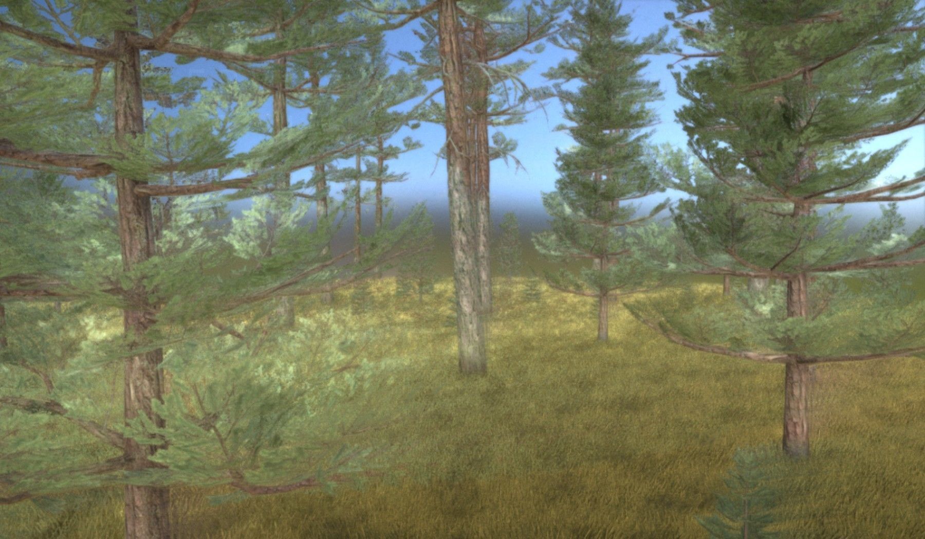 Pine Forest Scene Low-poly 3D model_53