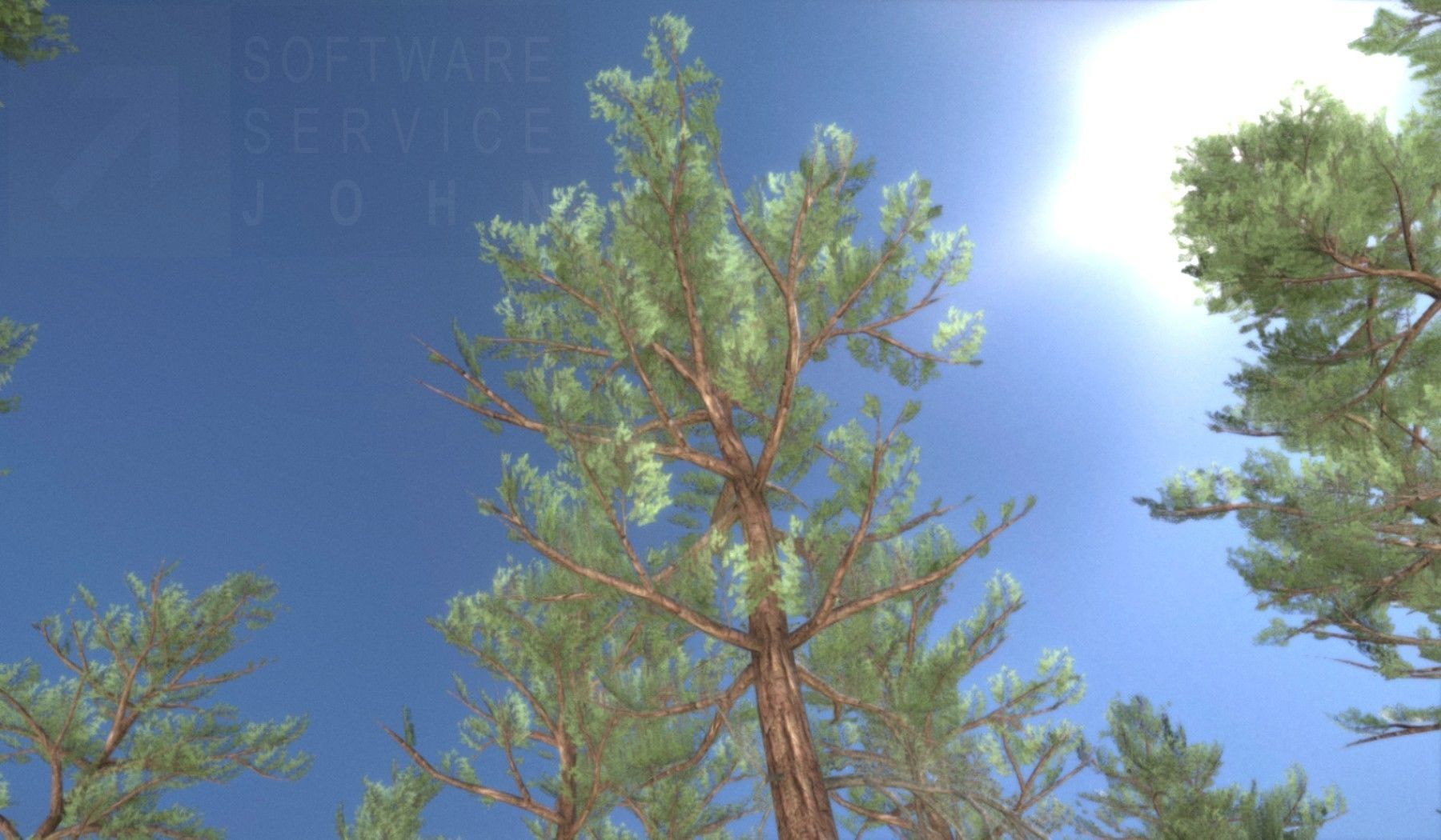 Pine Forest Scene Low-poly 3D model_111