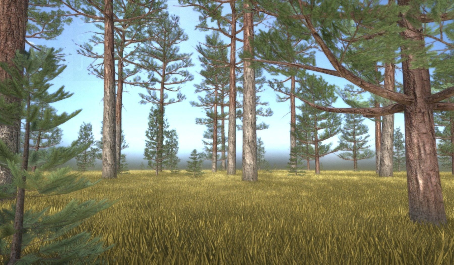 Pine Forest Scene Low-poly 3D model_21