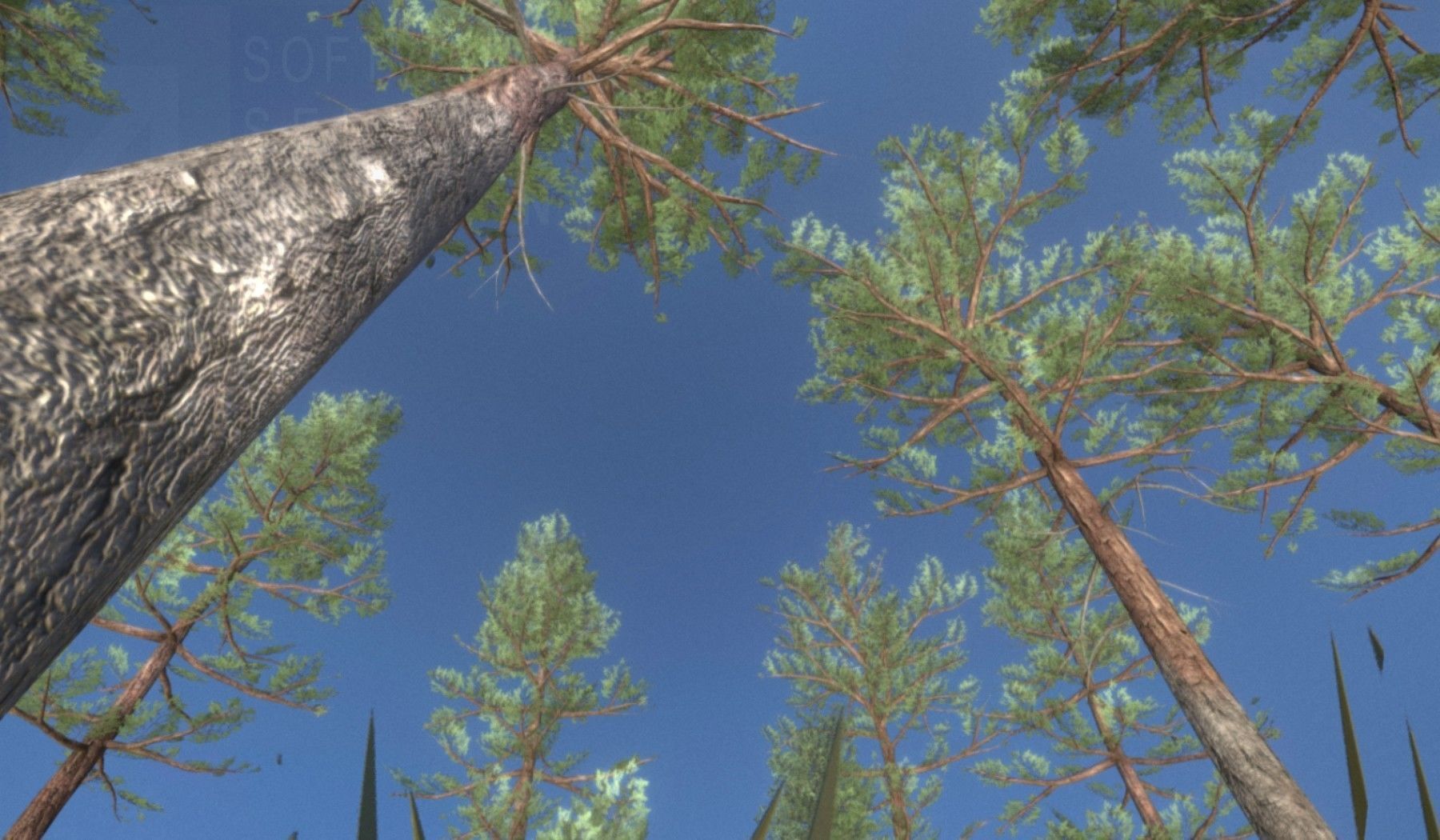 Pine Forest Scene Low-poly 3D model_106