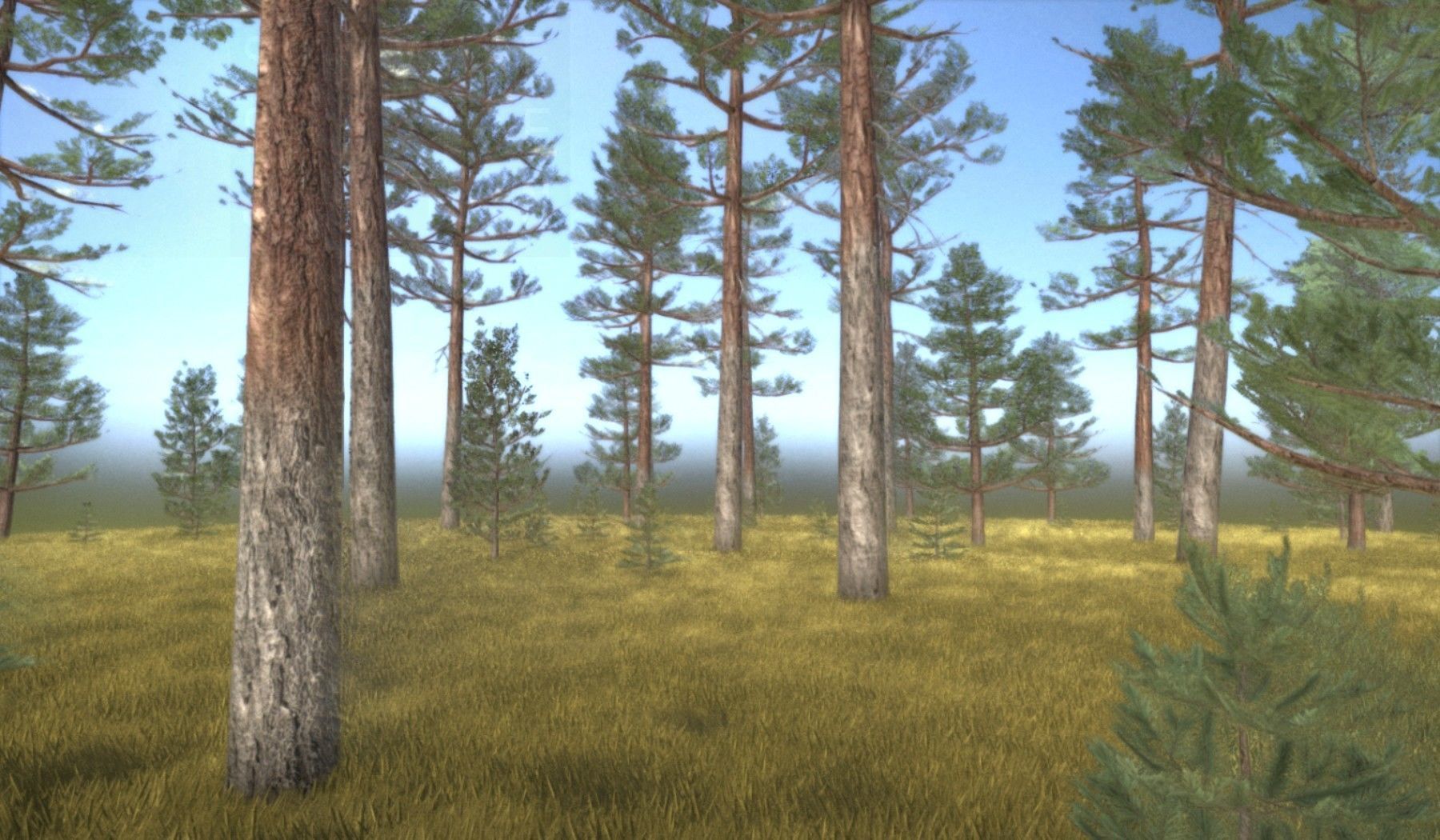 Pine Forest Scene Low-poly 3D model_43
