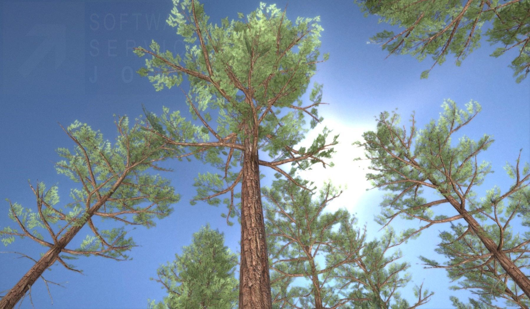Pine Forest Scene Low-poly 3D model_135