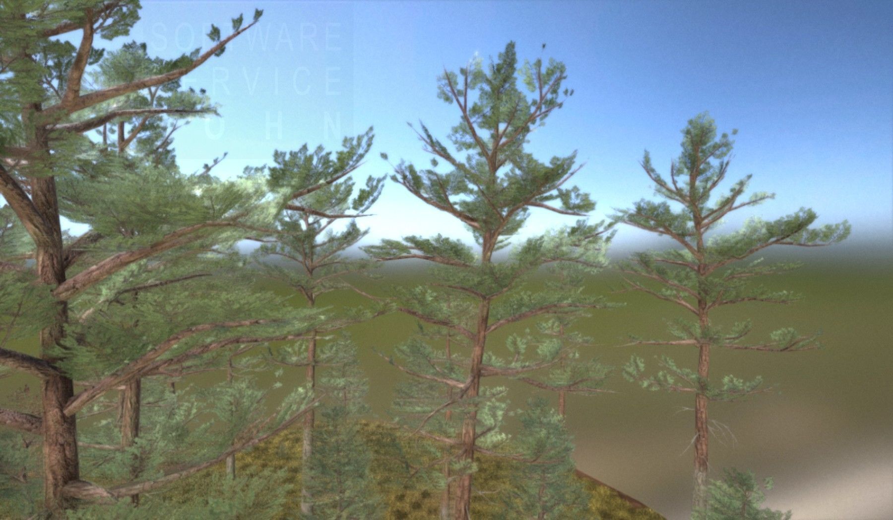 Pine Forest Scene Low-poly 3D model_120