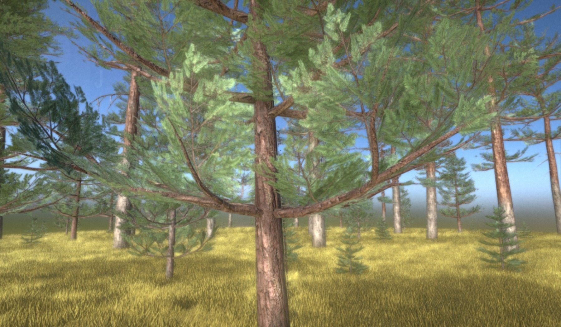 Pine Forest Scene Low-poly 3D model_63