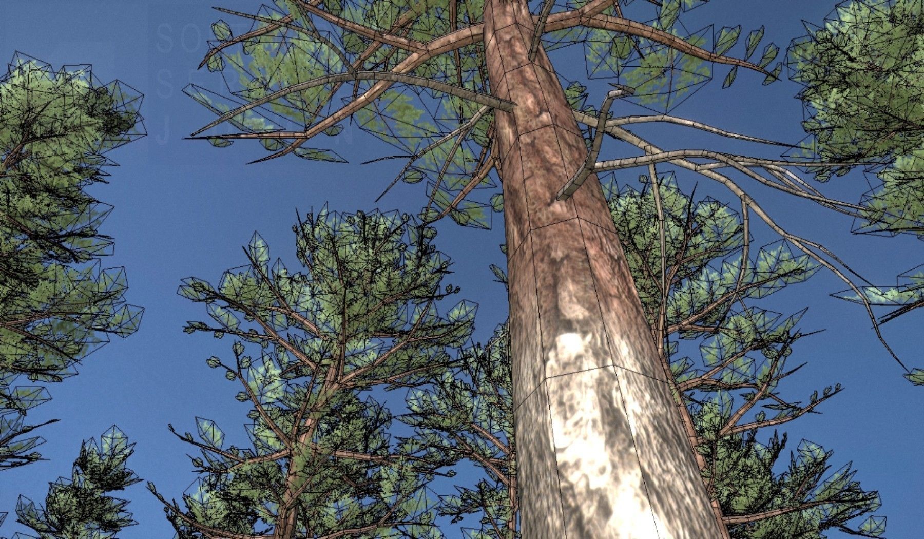 Pine Forest Scene Low-poly 3D model_17