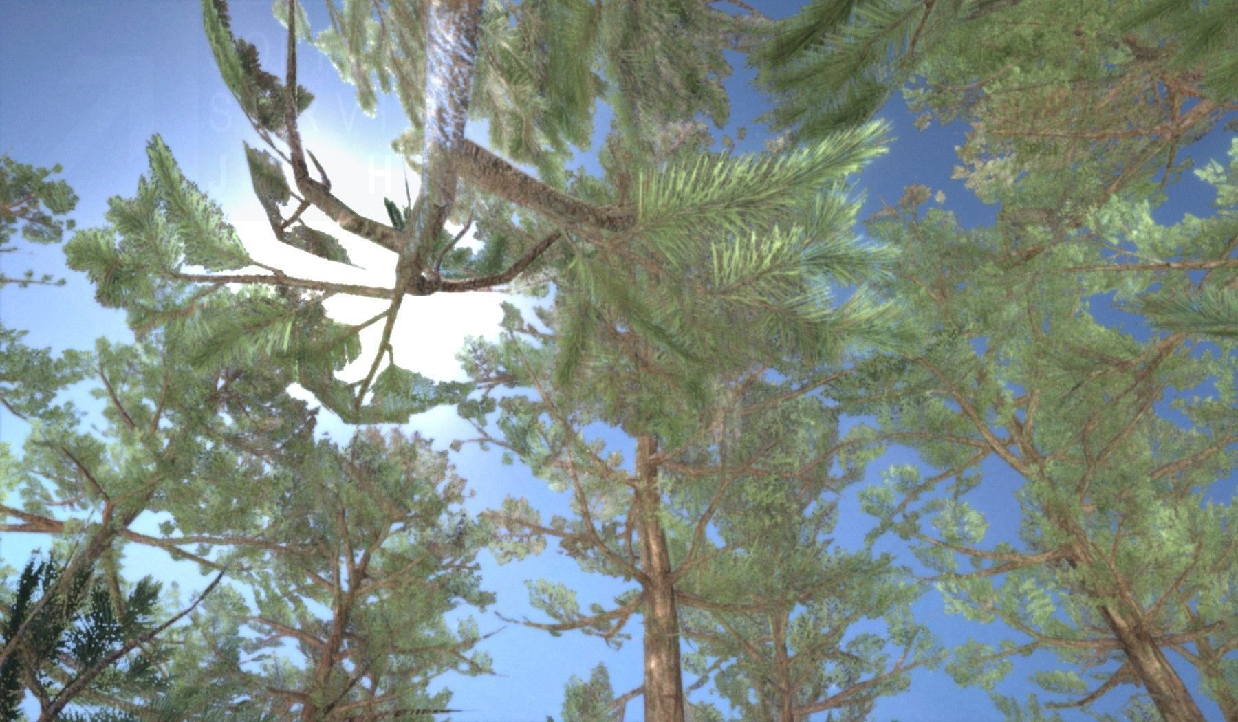 Pine Forest Scene Low-poly 3D model_79