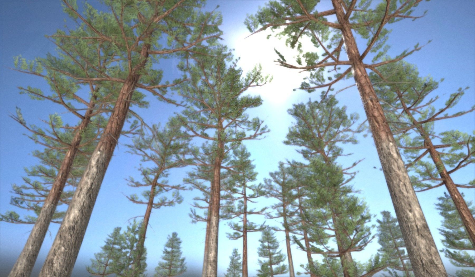 Pine Forest Scene Low-poly 3D model_94