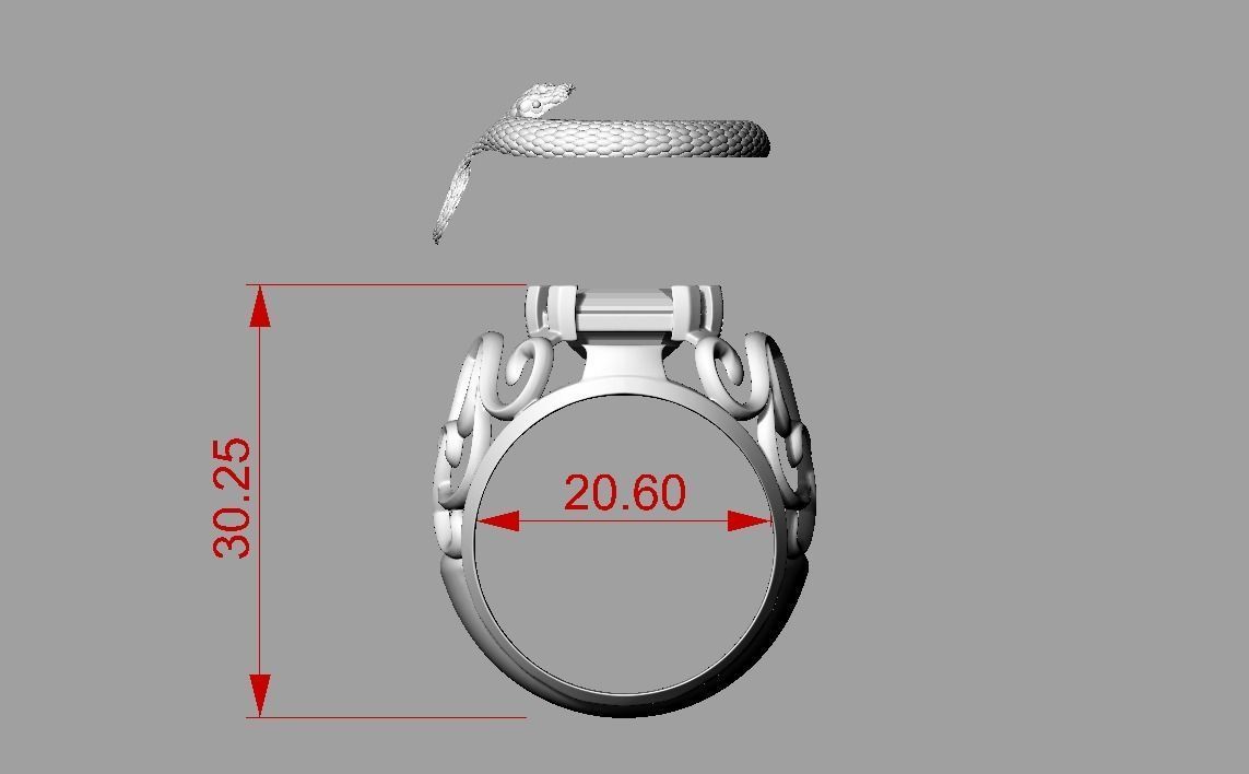 Ring Snake  3D print model_3