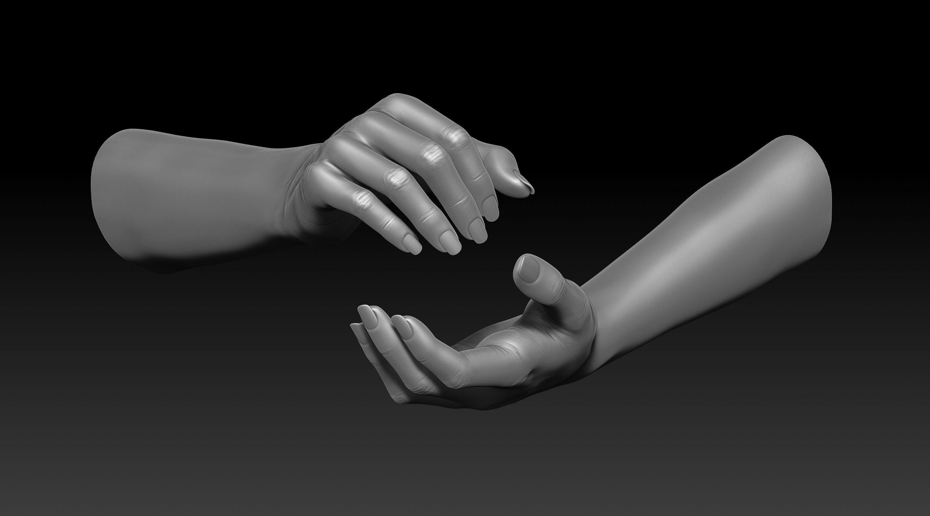 3D Printable Female Hands 20 poses pack 3D model_35