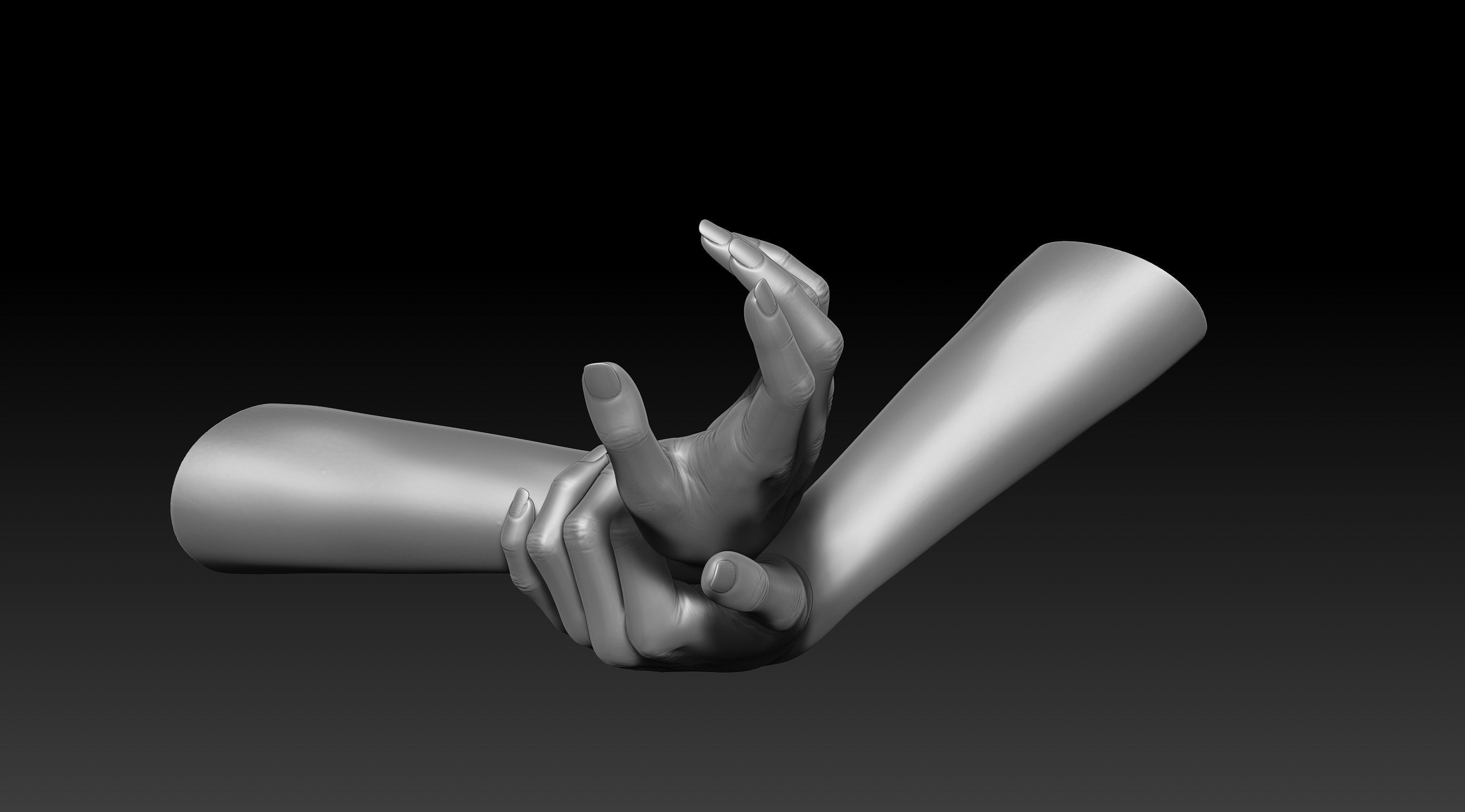 3D Printable Female Hands 20 poses pack 3D model_31