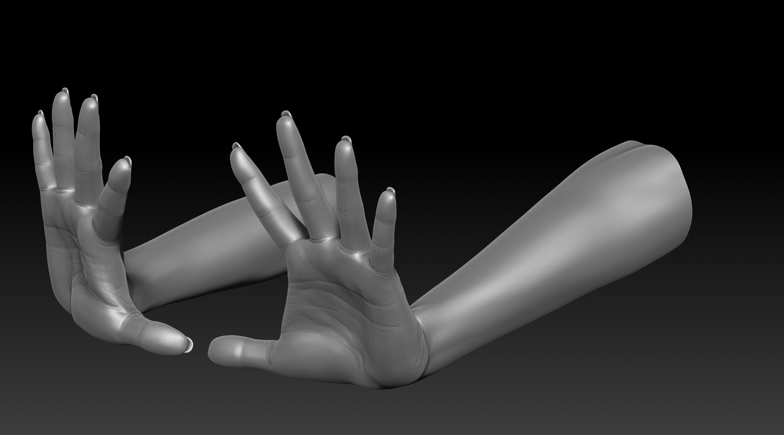 3D Printable Female Hands 20 poses pack 3D model_36
