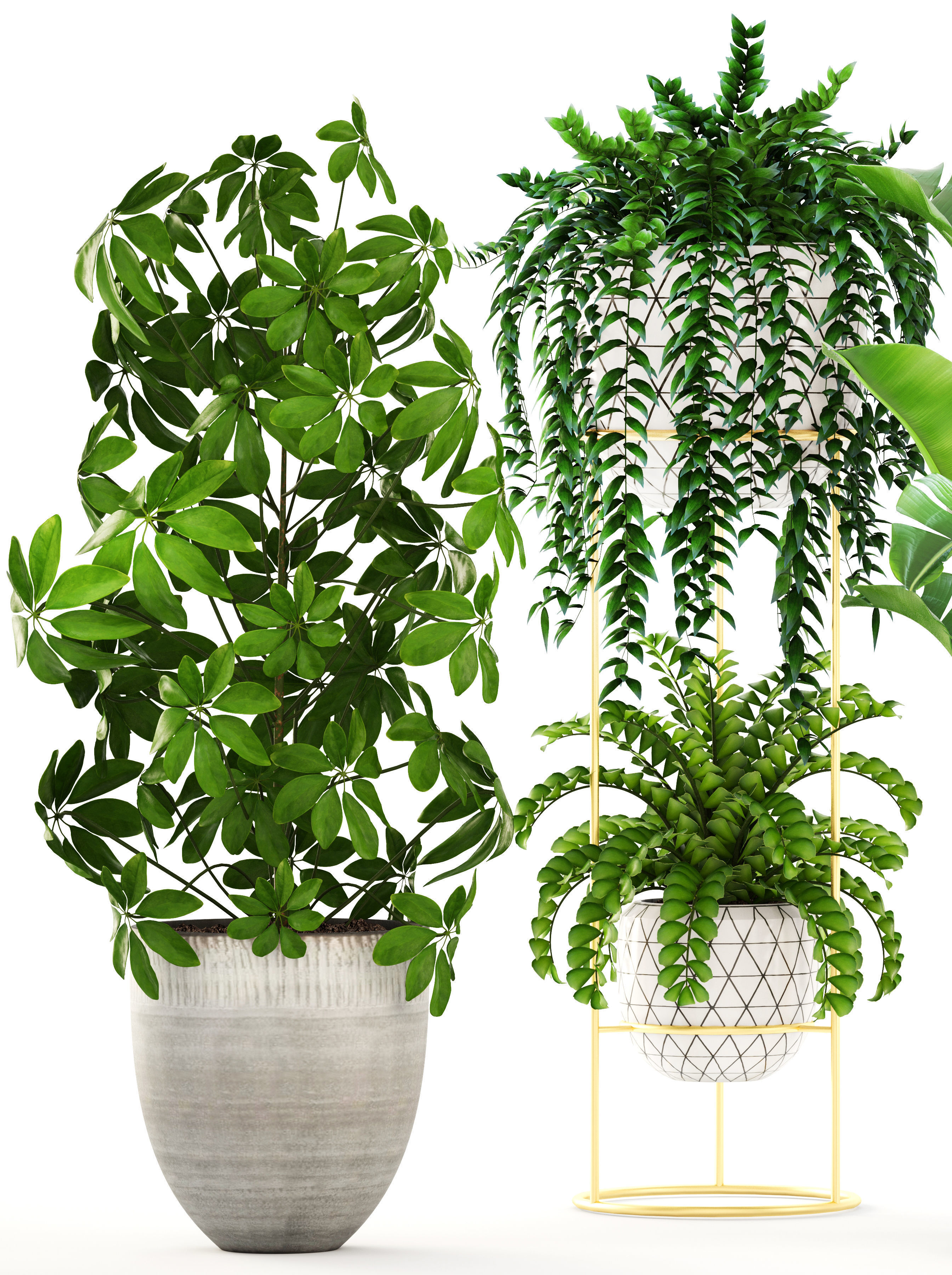 Collection plants three in pots 3D model_5