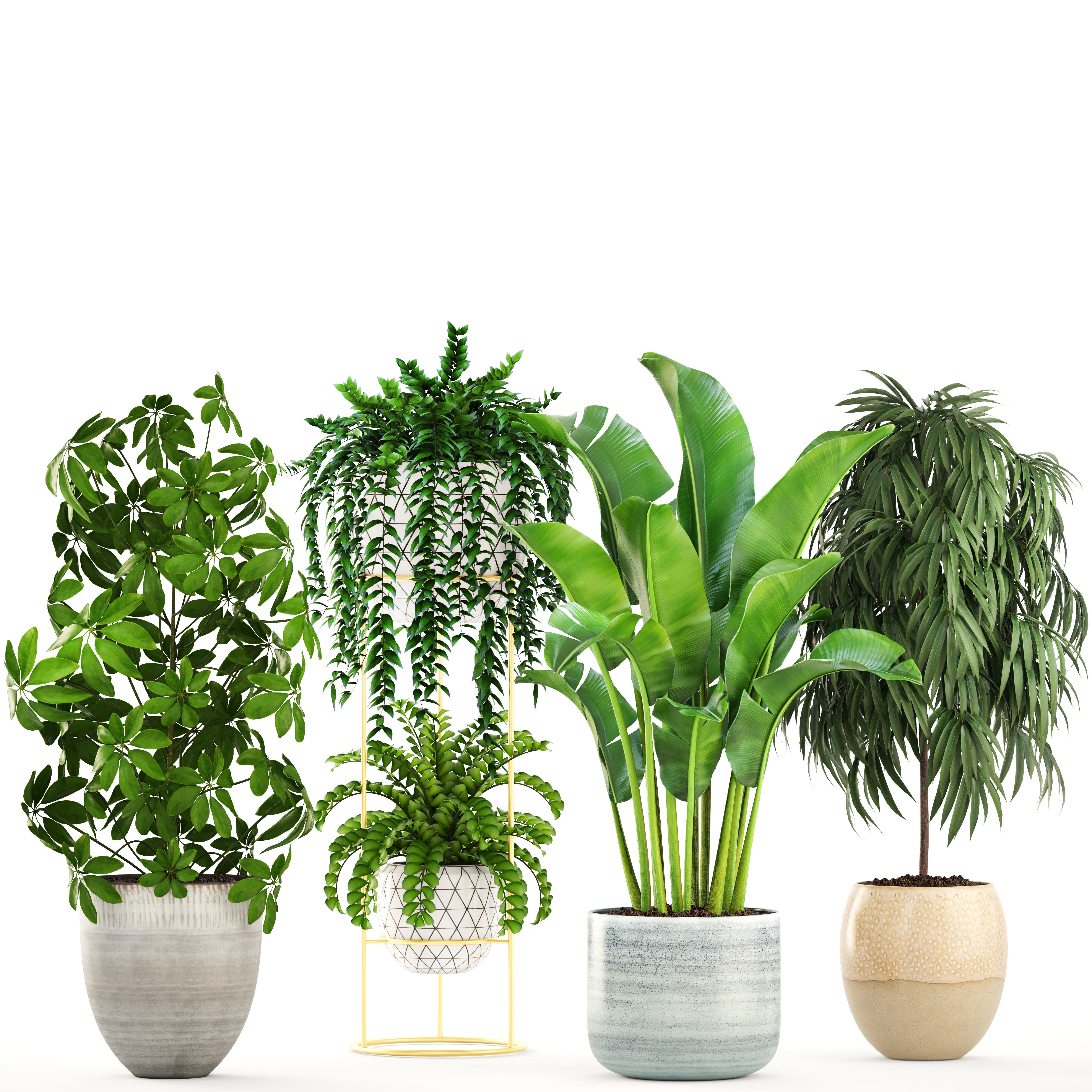 Collection plants three in pots 3D model_1