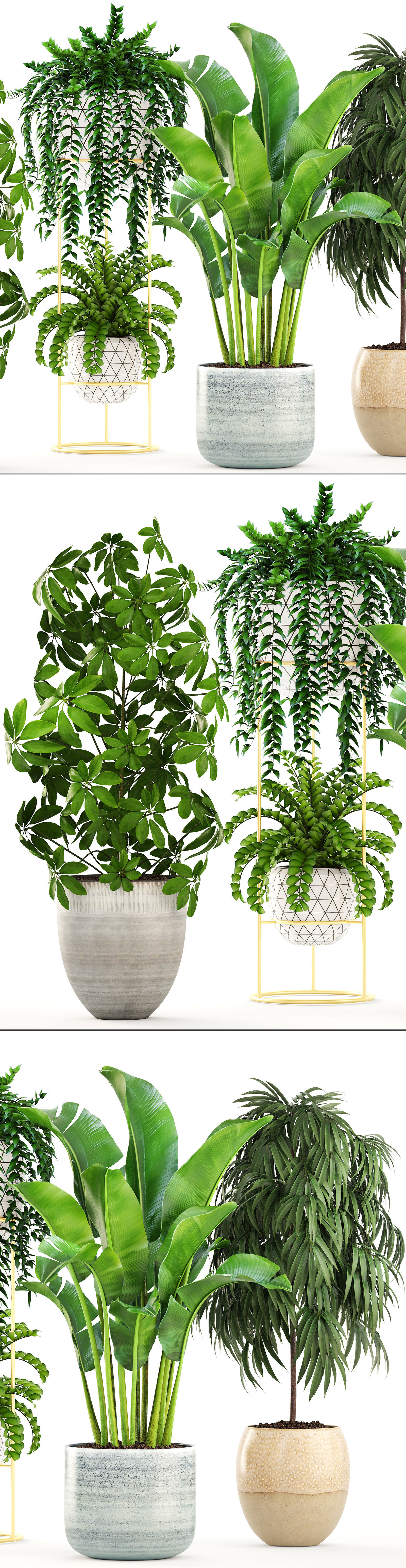 Collection plants three in pots 3D model_6