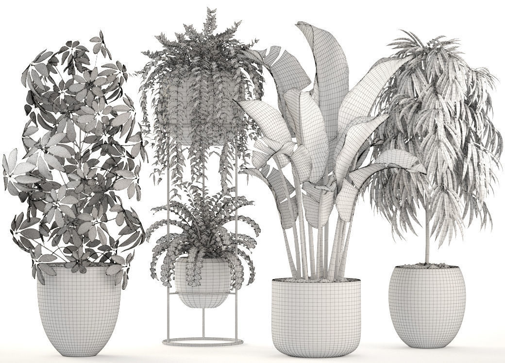 Collection plants three in pots 3D model_4