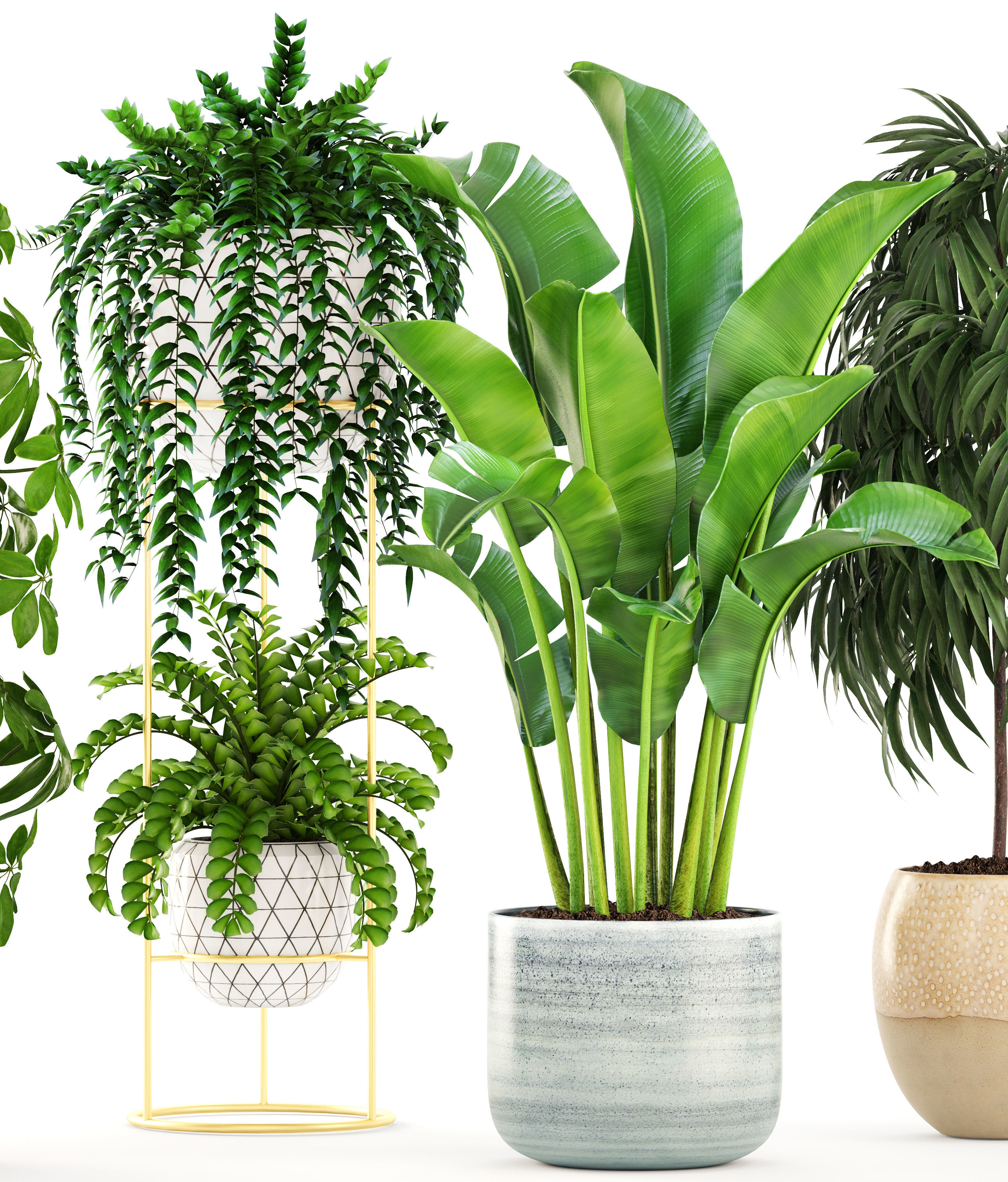 Collection plants three in pots 3D model_7