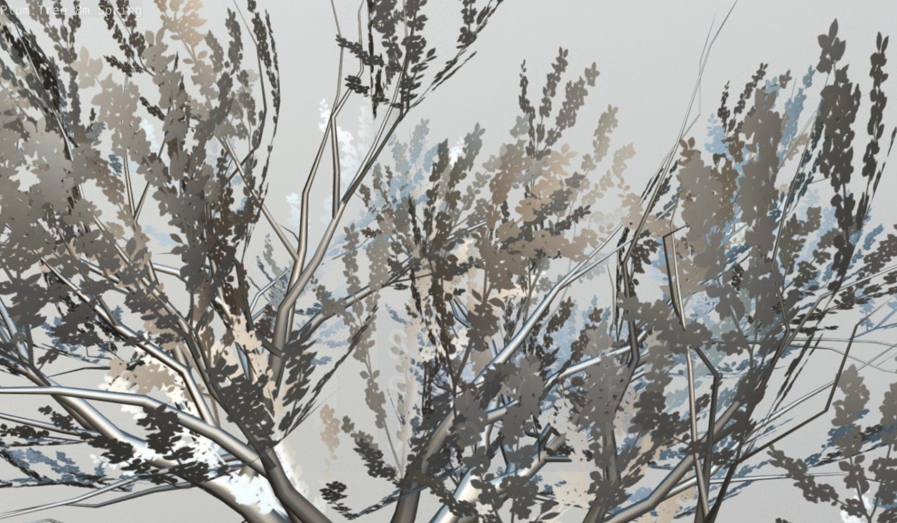 Plum Trees 8m Spring Low-poly 3D model_117